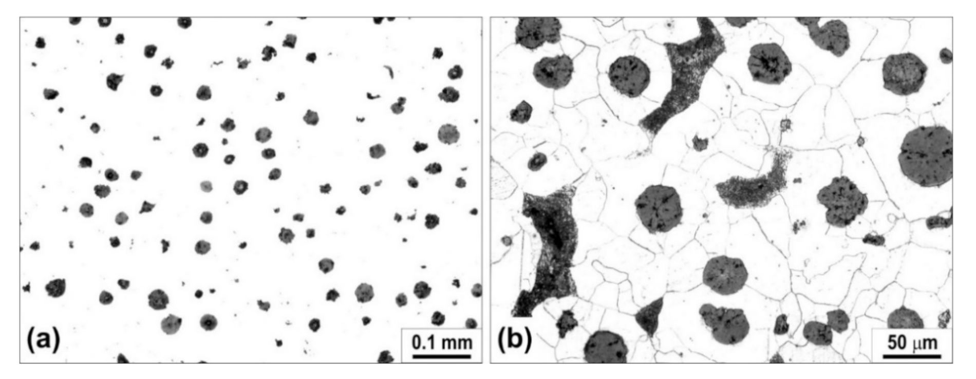 Metals 11 00094 g001 Metals 11 00094 g001