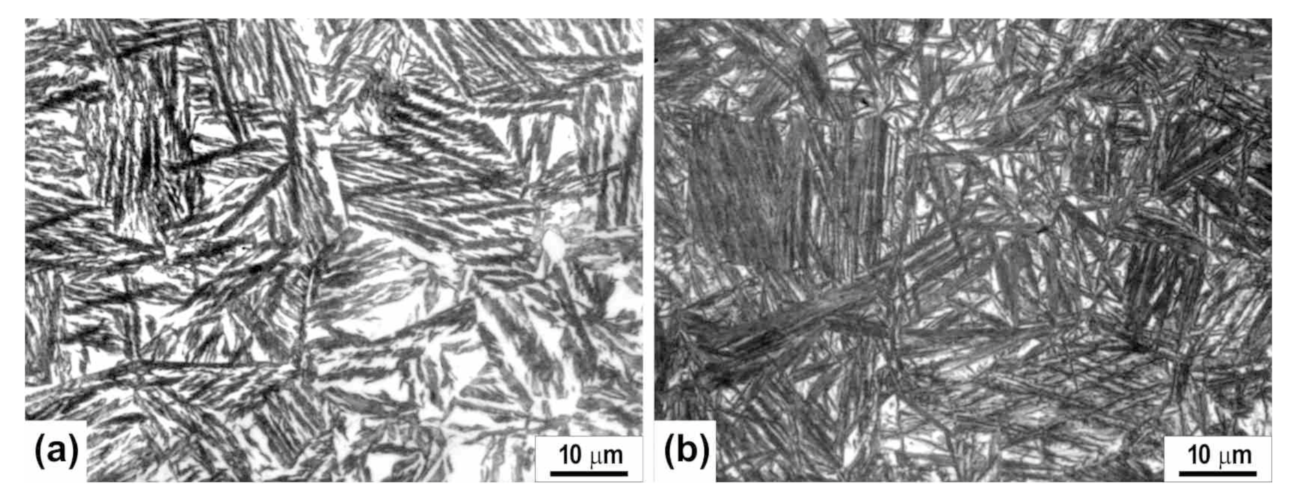 Metals 11 00094 g002 Metals 11 00094 g002