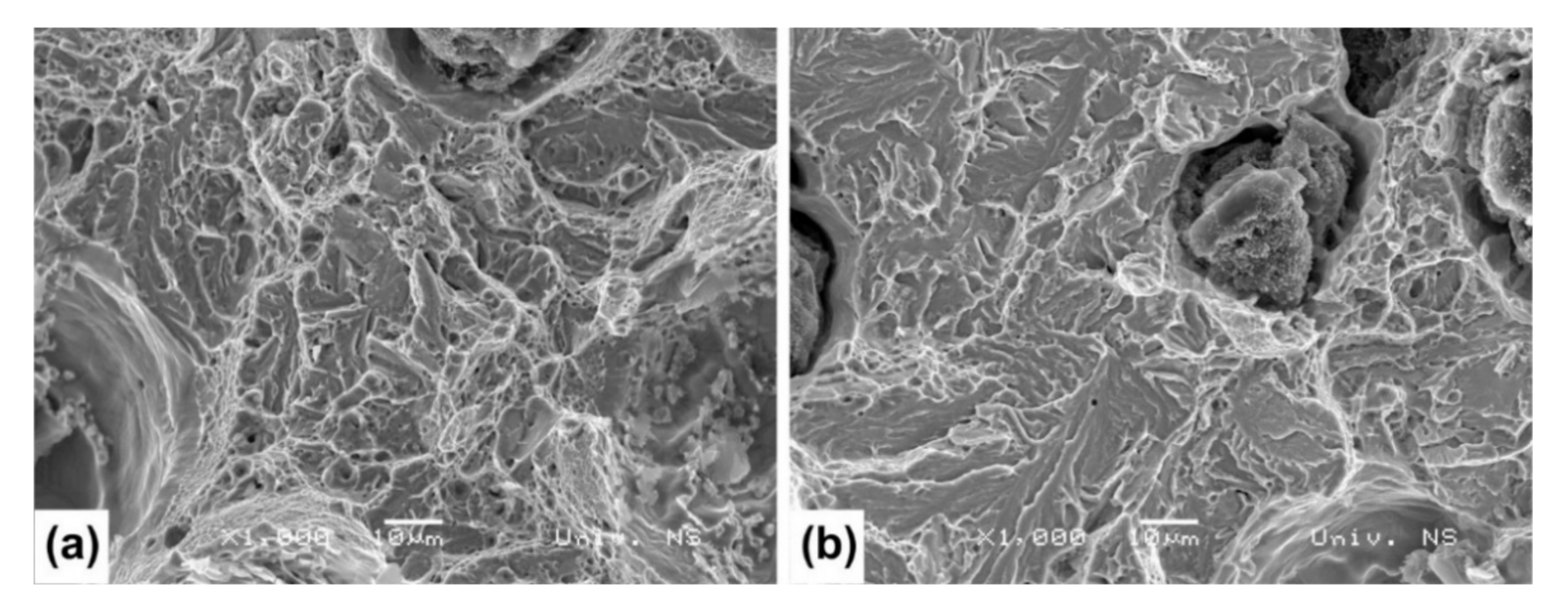 Metals 11 00094 g010 Metals 11 00094 g010