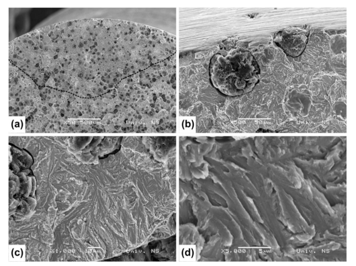 Metals 11 00094 g011 Metals 11 00094 g011