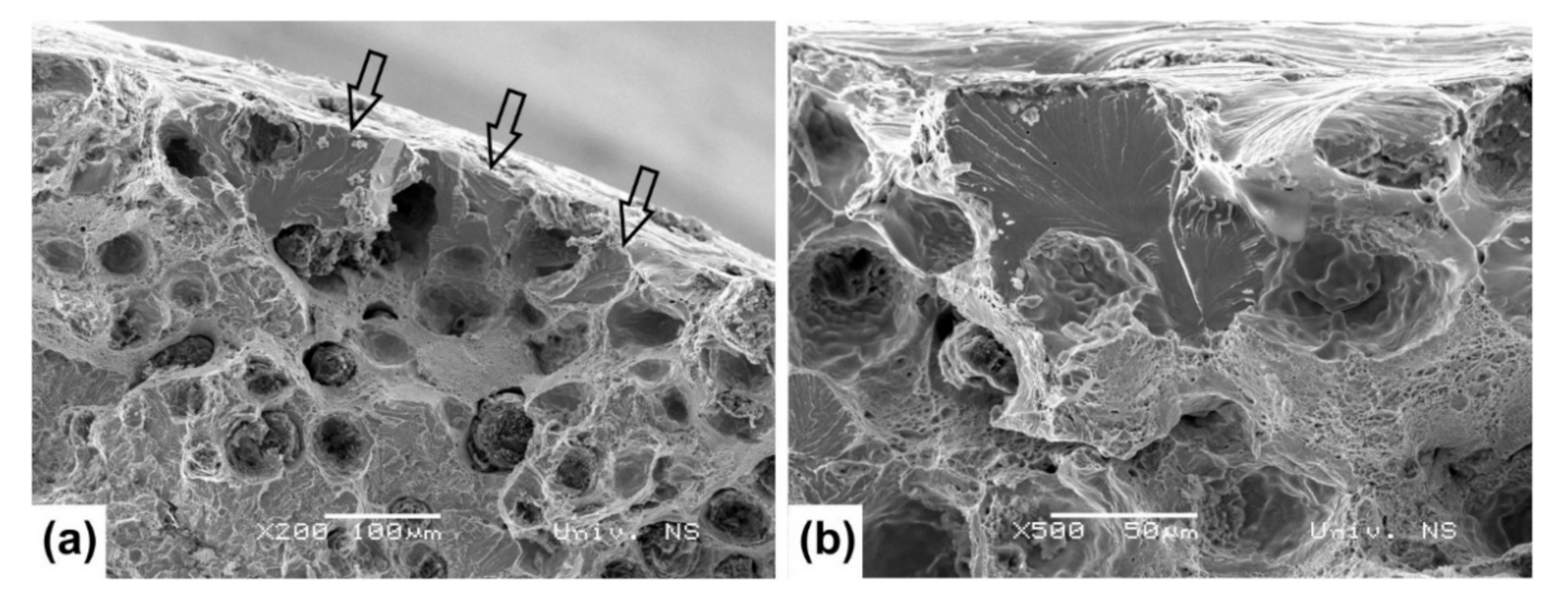 Metals 11 00094 g016 Metals 11 00094 g016