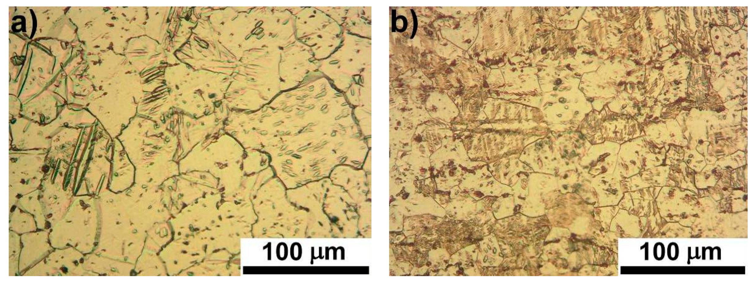 Metals 11 00101 g001