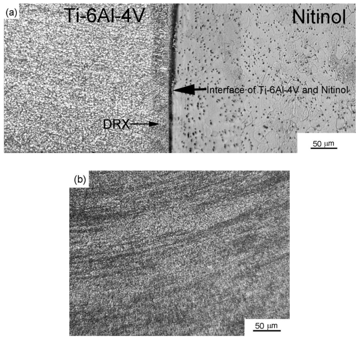 Metals 11 00109 g005 Metals 11 00109 g005