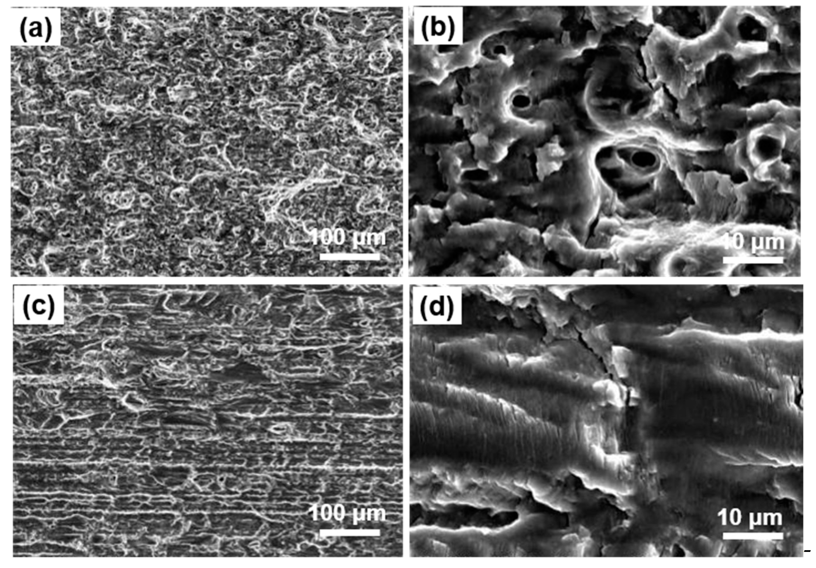 Metals 11 00110 g007 Metals 11 00110 g007