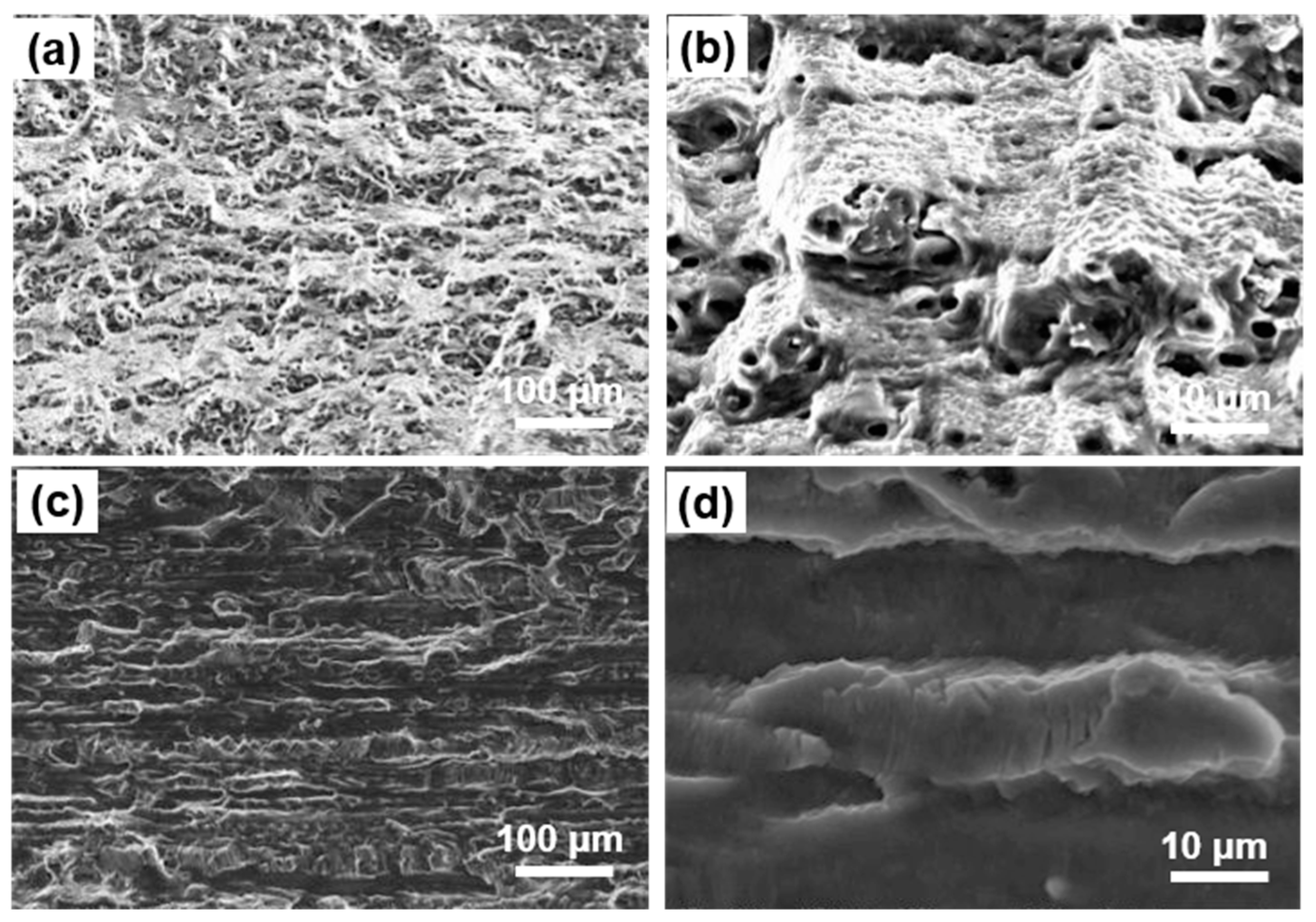 Metals 11 00110 g008 Metals 11 00110 g008