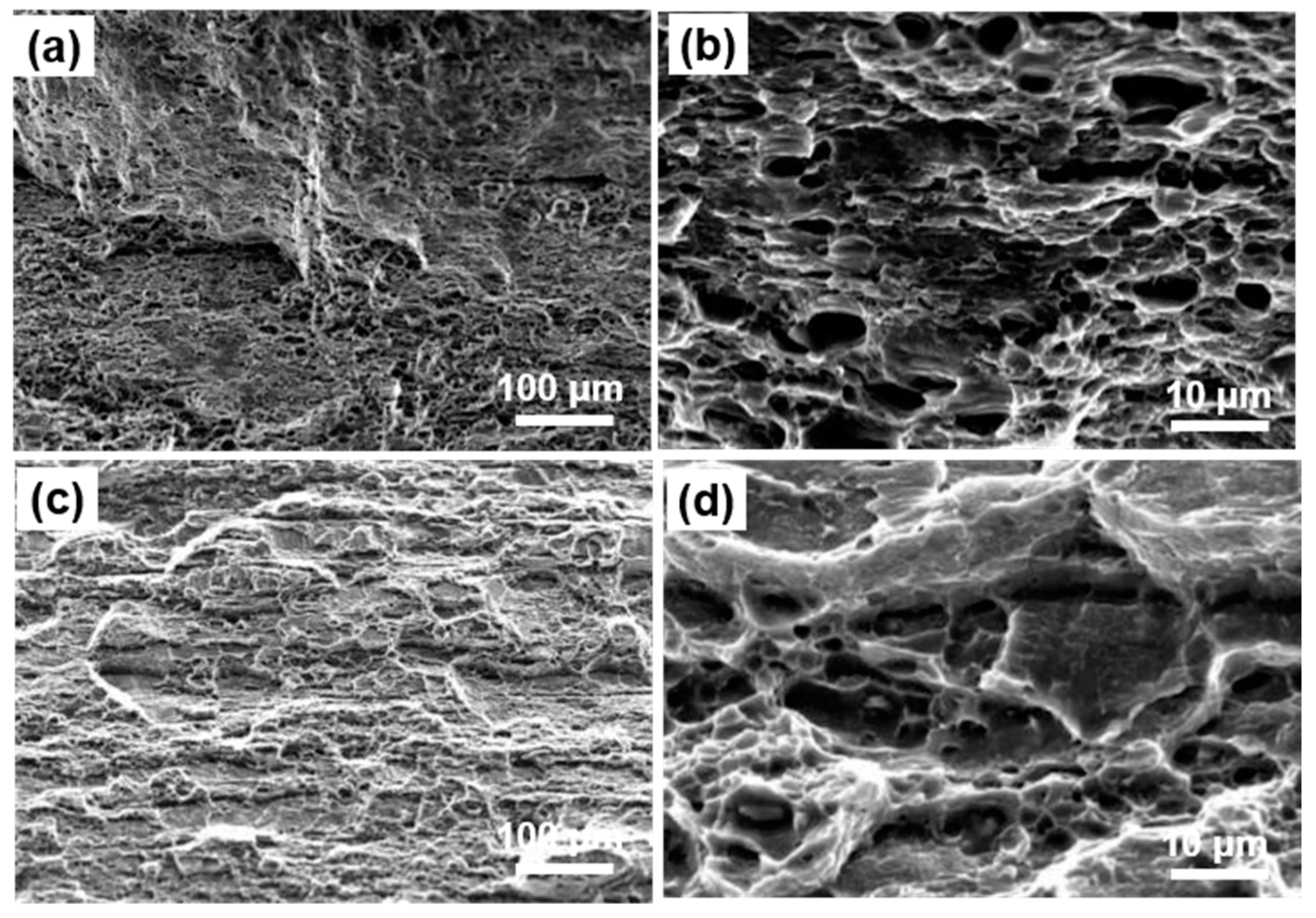 Metals 11 00110 g009 Metals 11 00110 g009