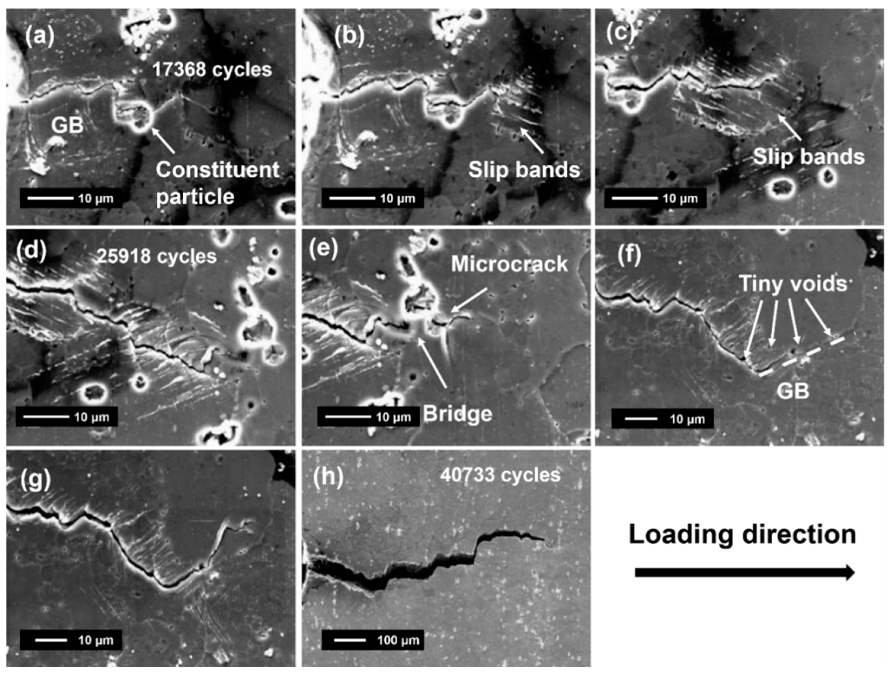 Metals 11 00110 g013 Metals 11 00110 g013