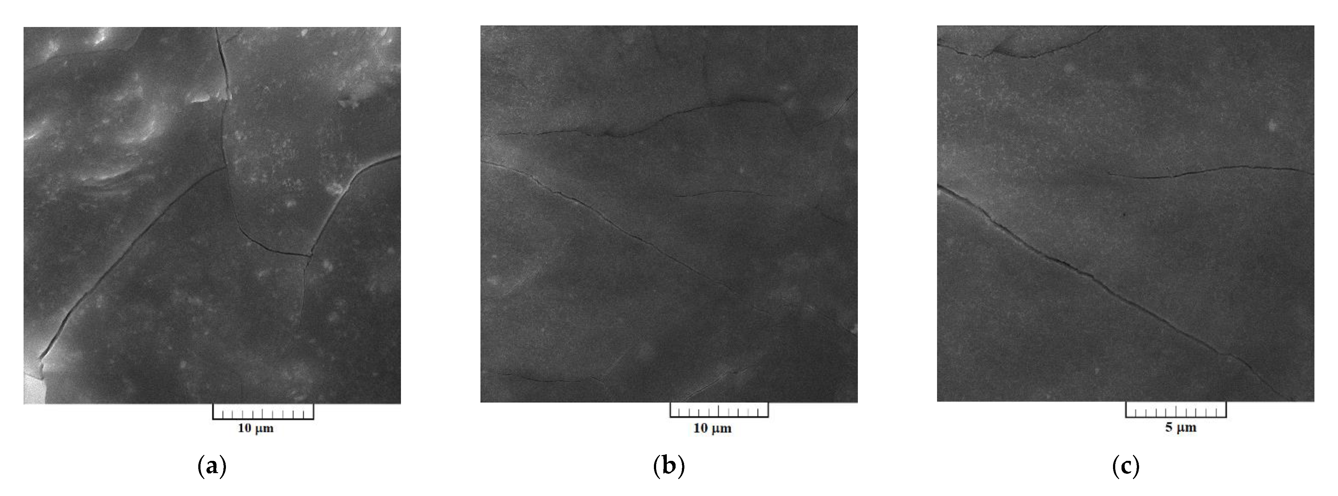 Metals 11 00123 g007