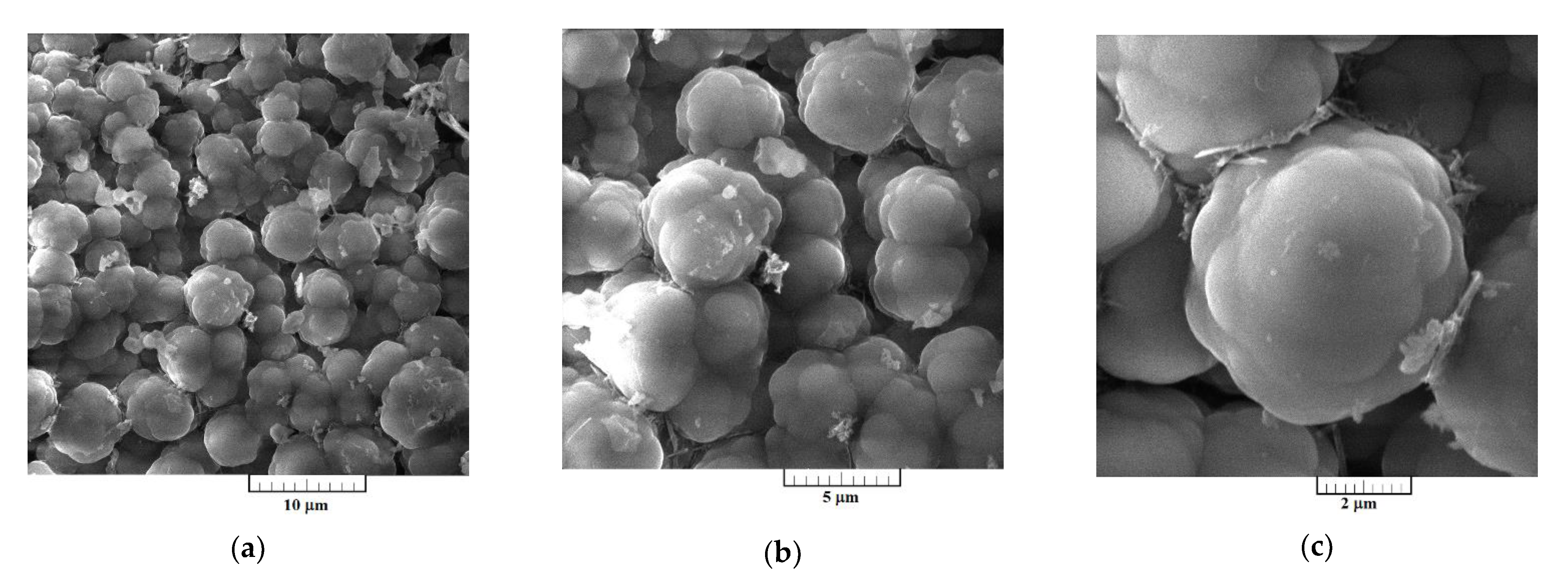 Metals 11 00123 g008