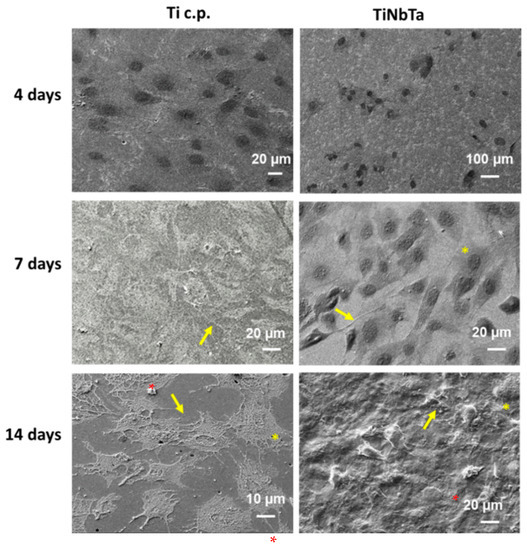 Metals Special Issue Titanium Alloys and TitaniumBased Matrix