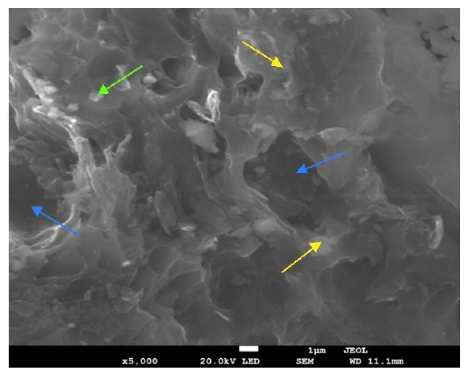 Metals 11 00145 g002 Metals 11 00145 g002