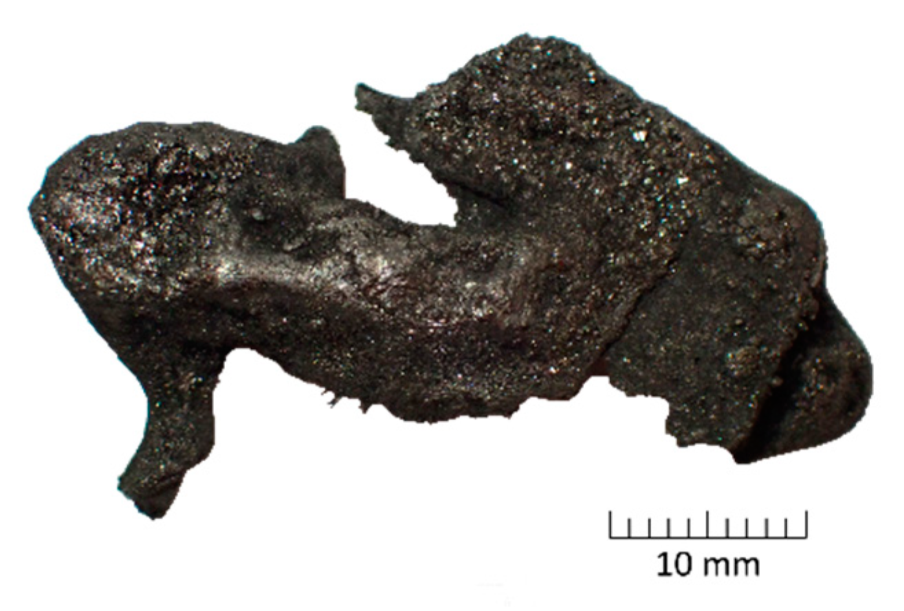 Metals 11 00149 g012