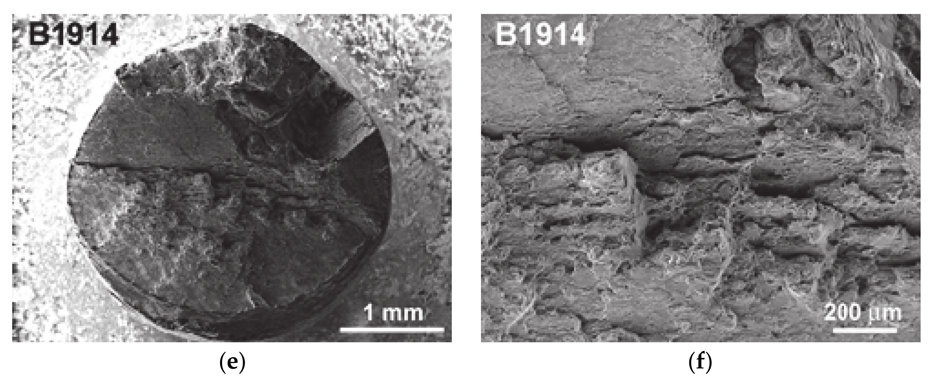 Metals 11 00152 g009b Metals 11 00152 g009b