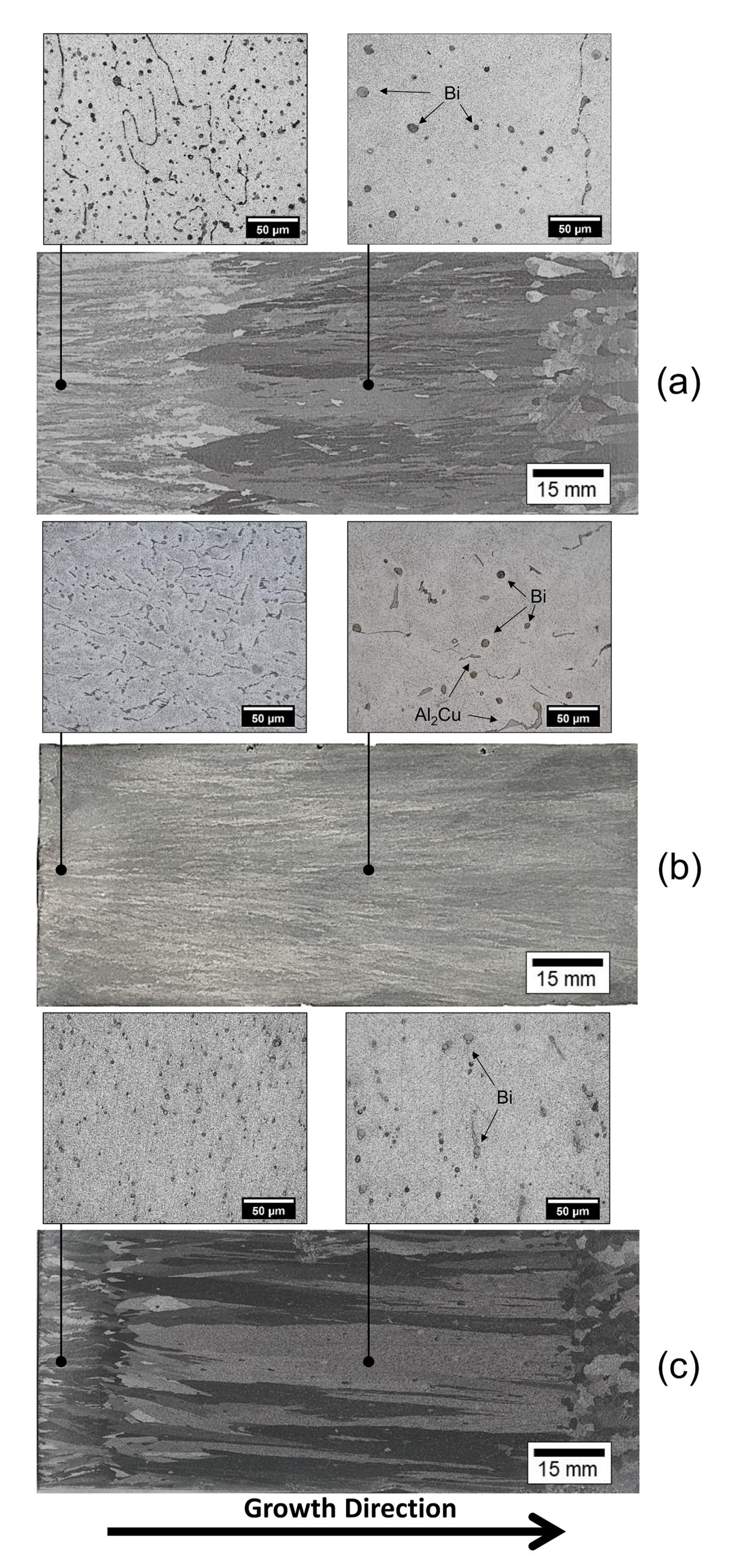 Metals 11 00153 g005 Metals 11 00153 g005