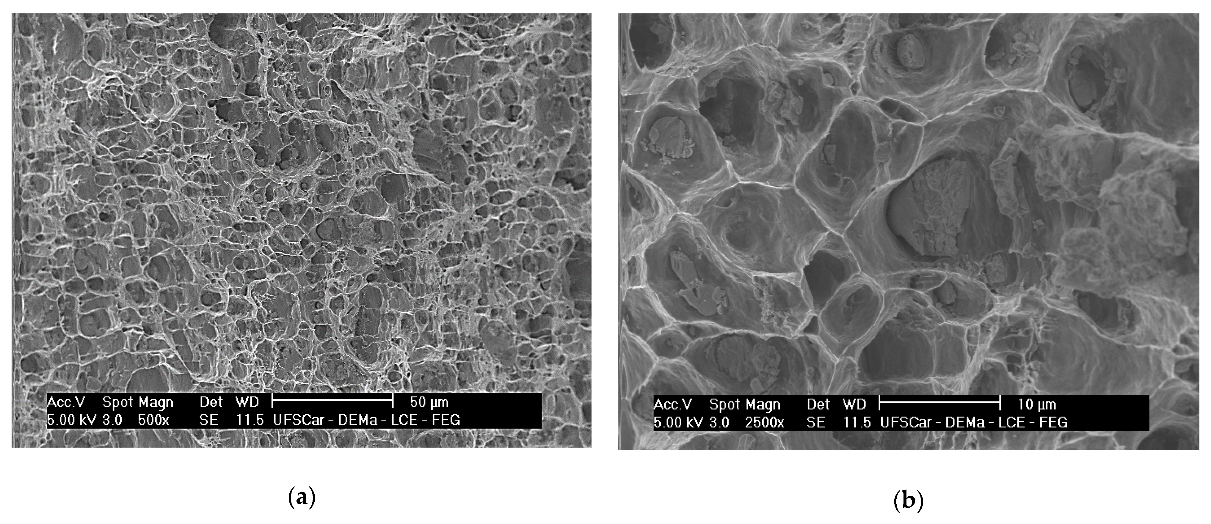 Metals 11 00153 g012a Metals 11 00153 g012a