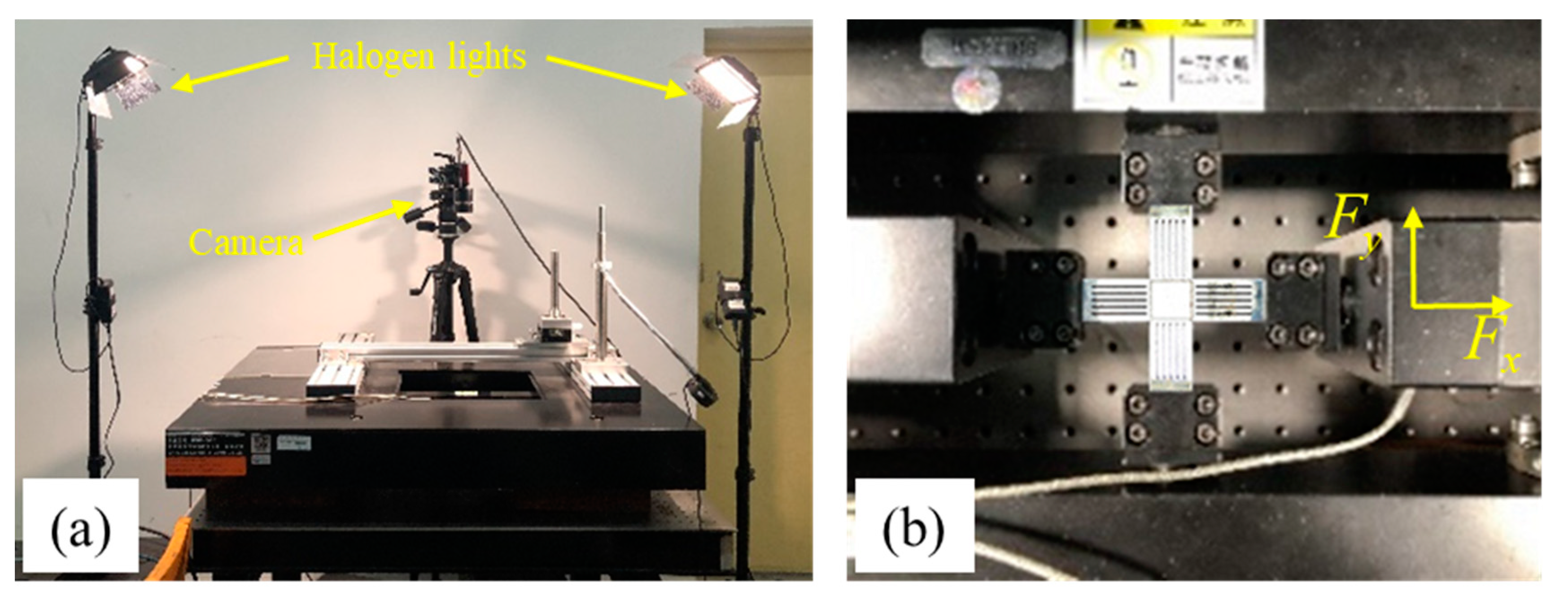 Metals 11 00155 g002