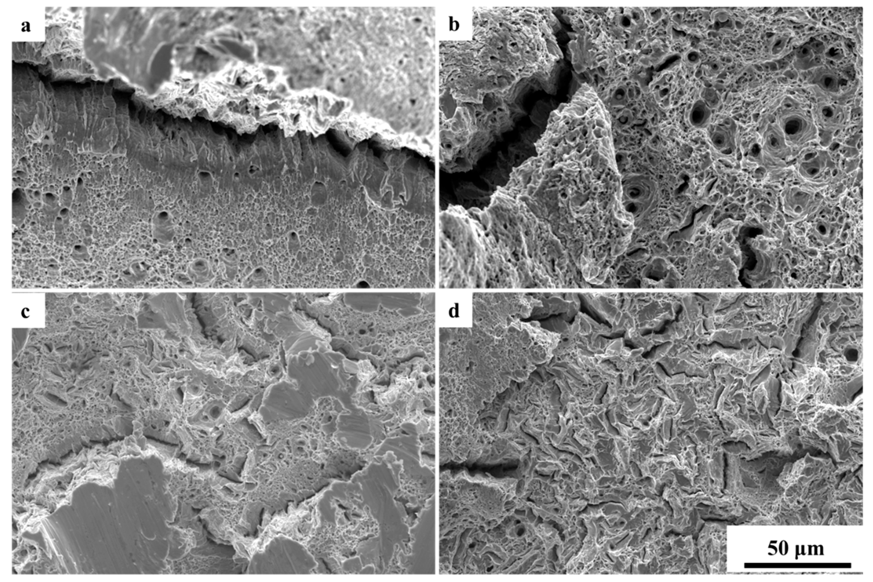 Metals 11 00157 g006 Metals 11 00157 g006