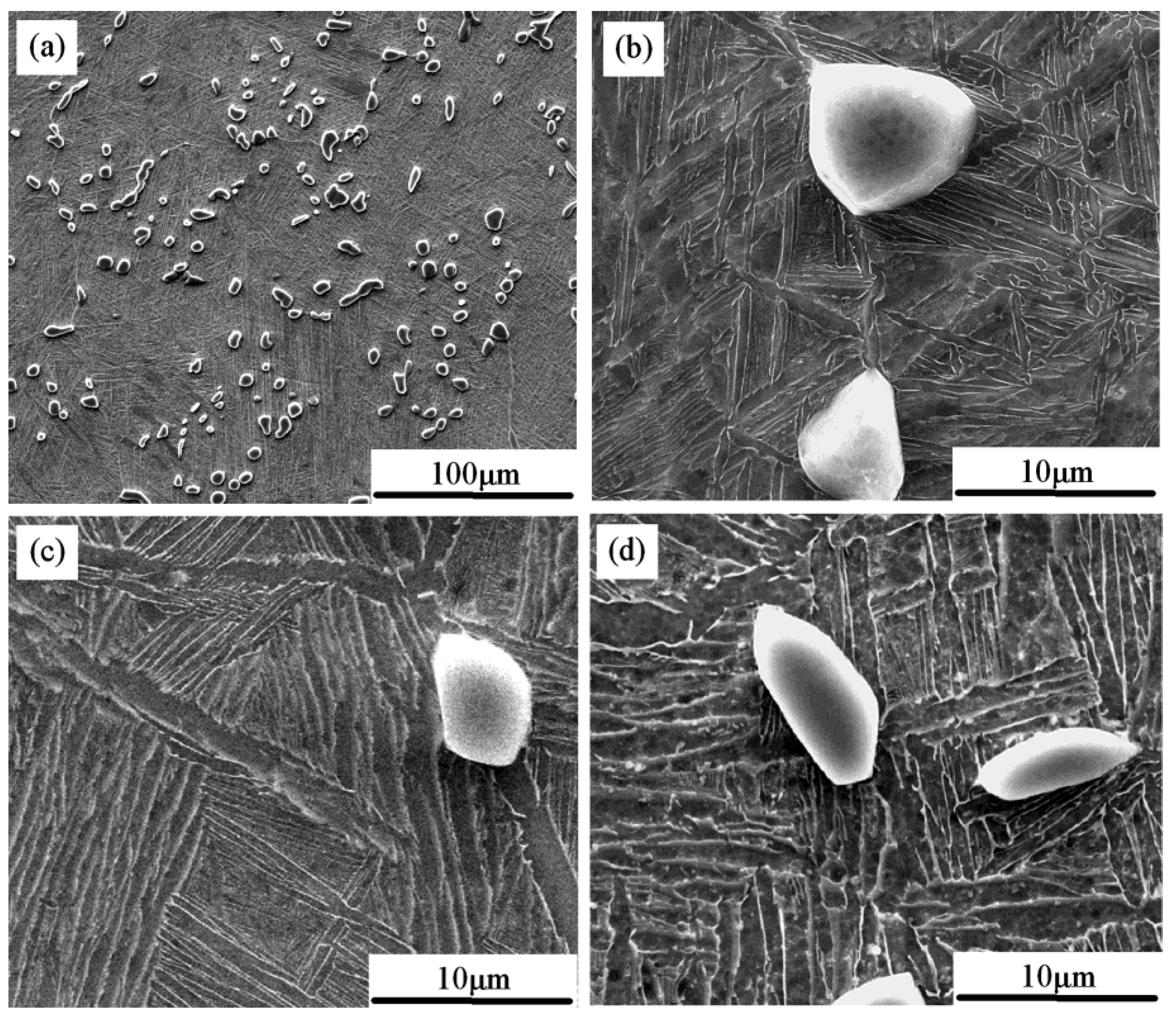 Metals 11 00160 g003