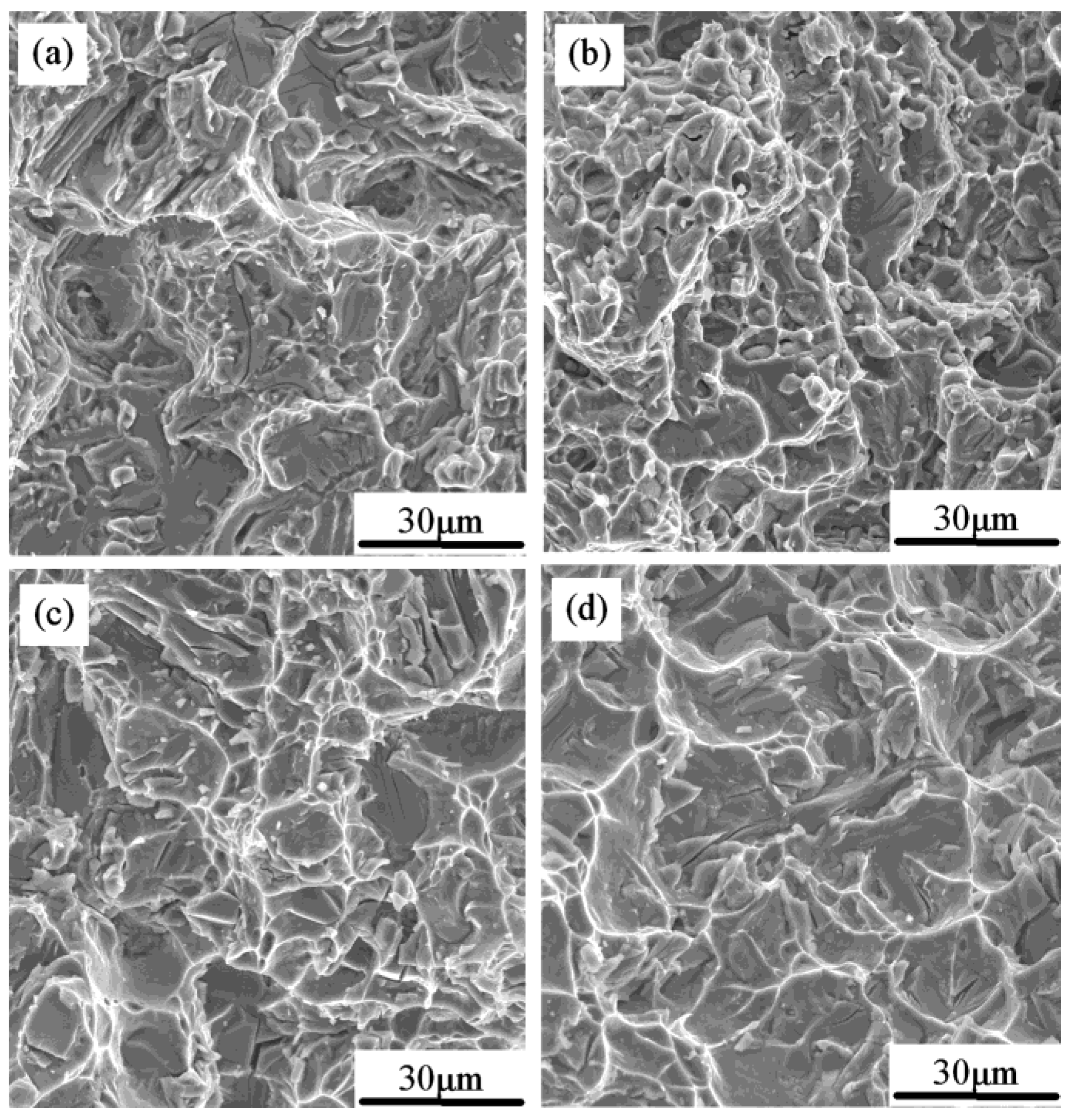 Metals 11 00160 g005