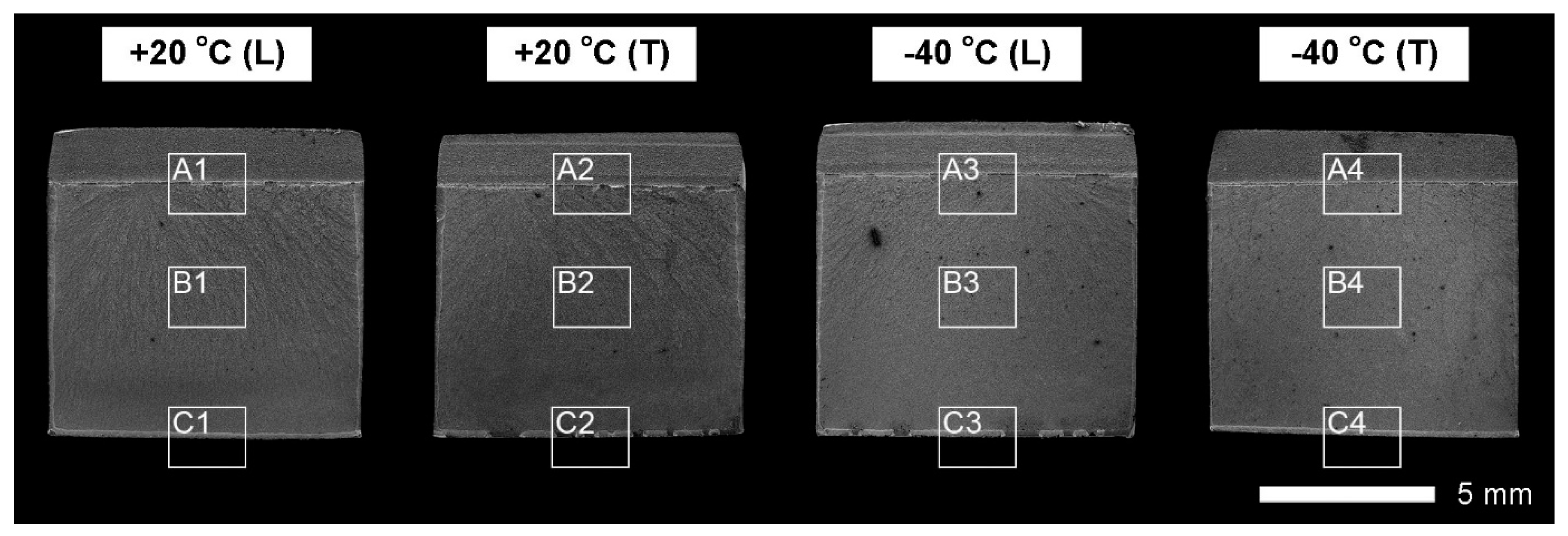 Metals 11 00162 g009