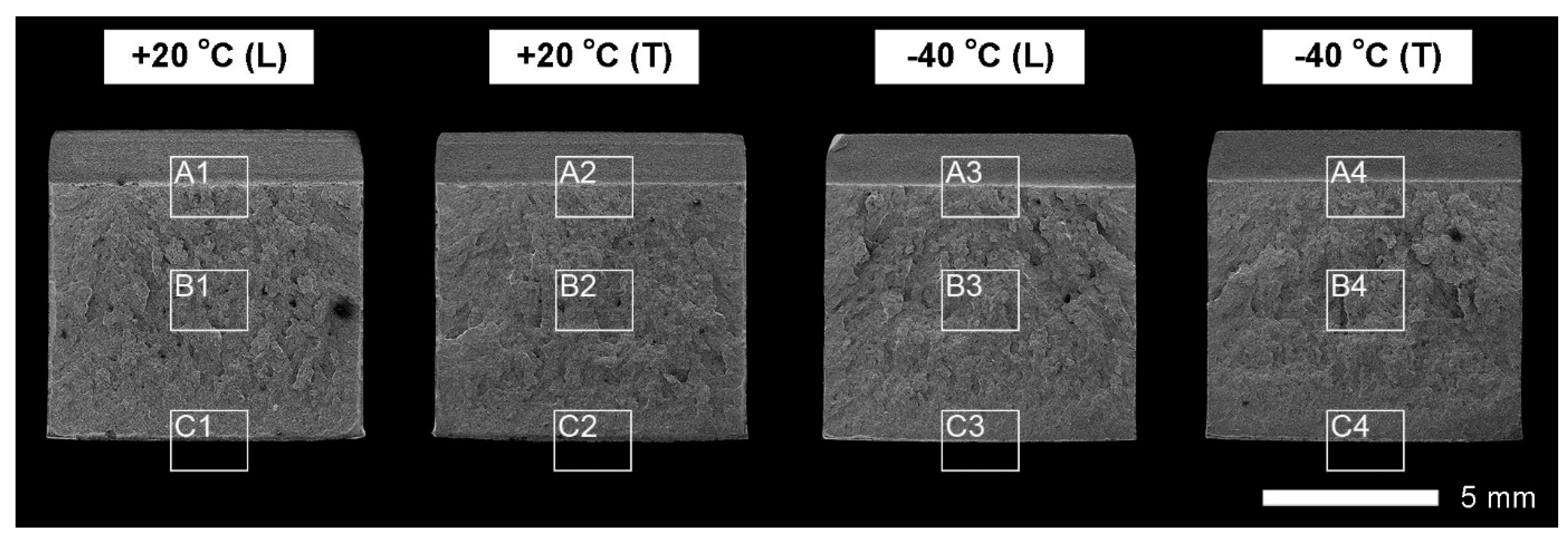 Metals 11 00162 g010