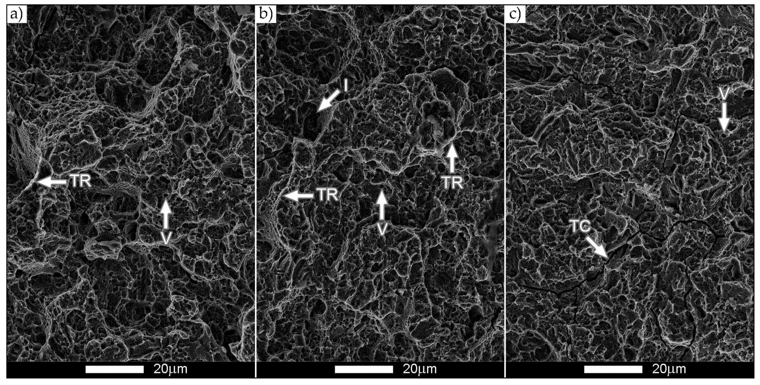 Metals 11 00162 g011