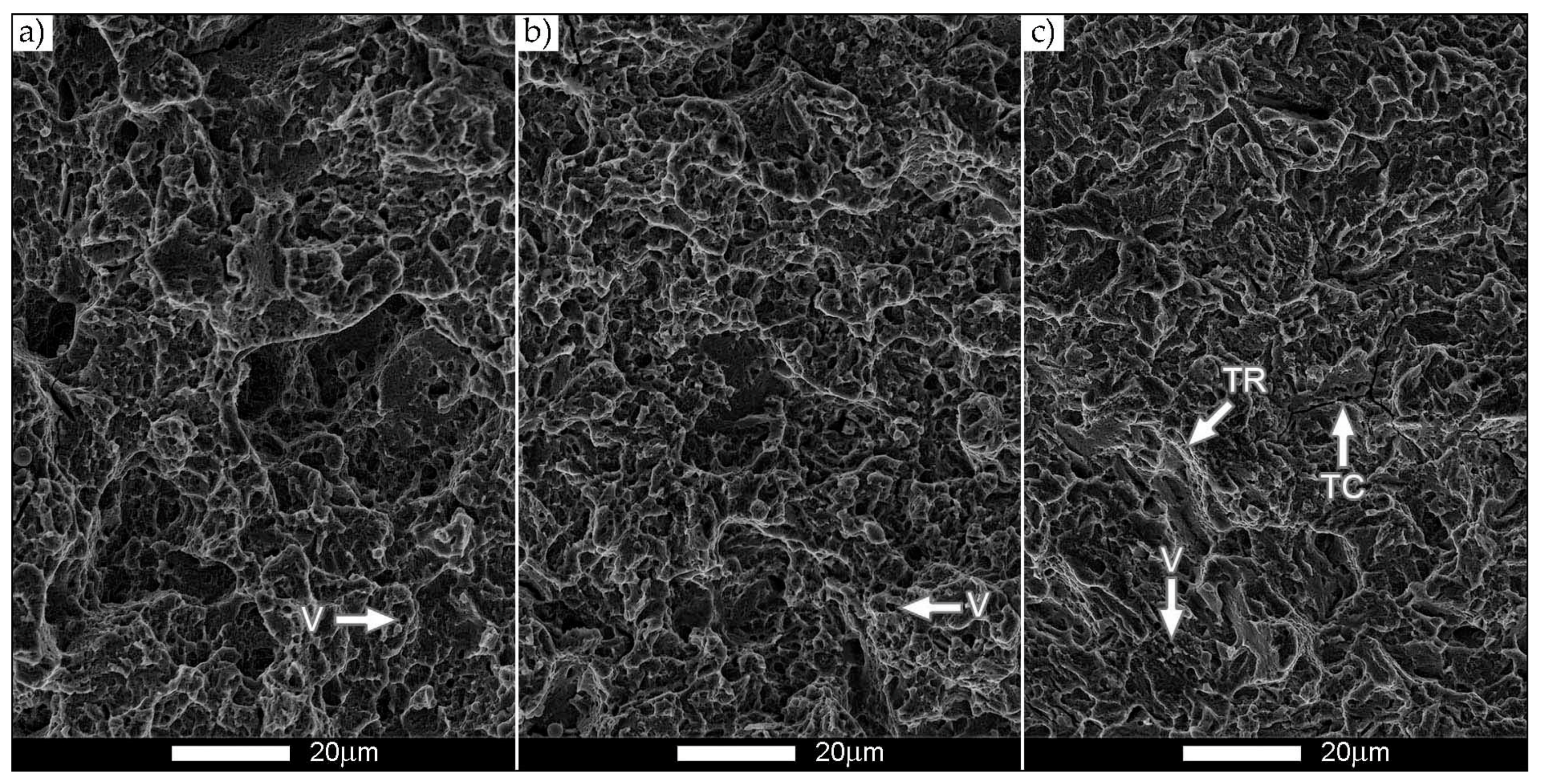 Metals 11 00162 g012