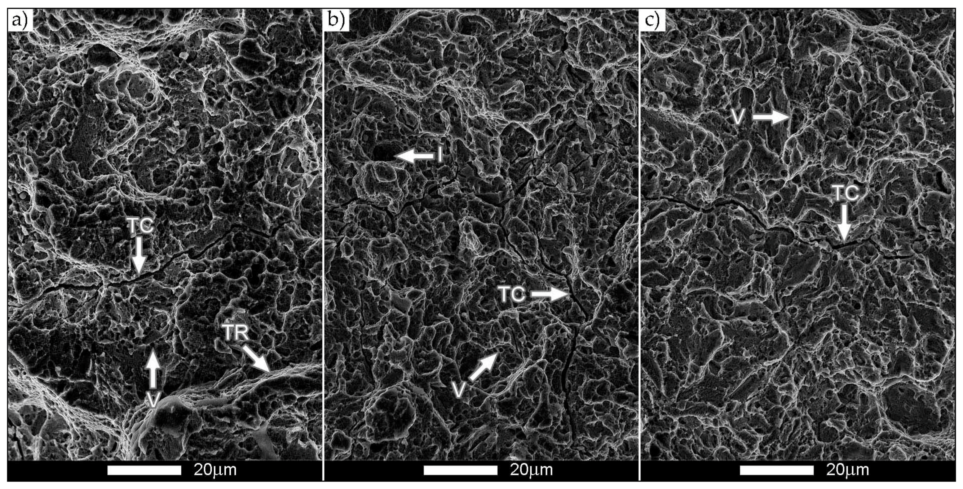 Metals 11 00162 g013