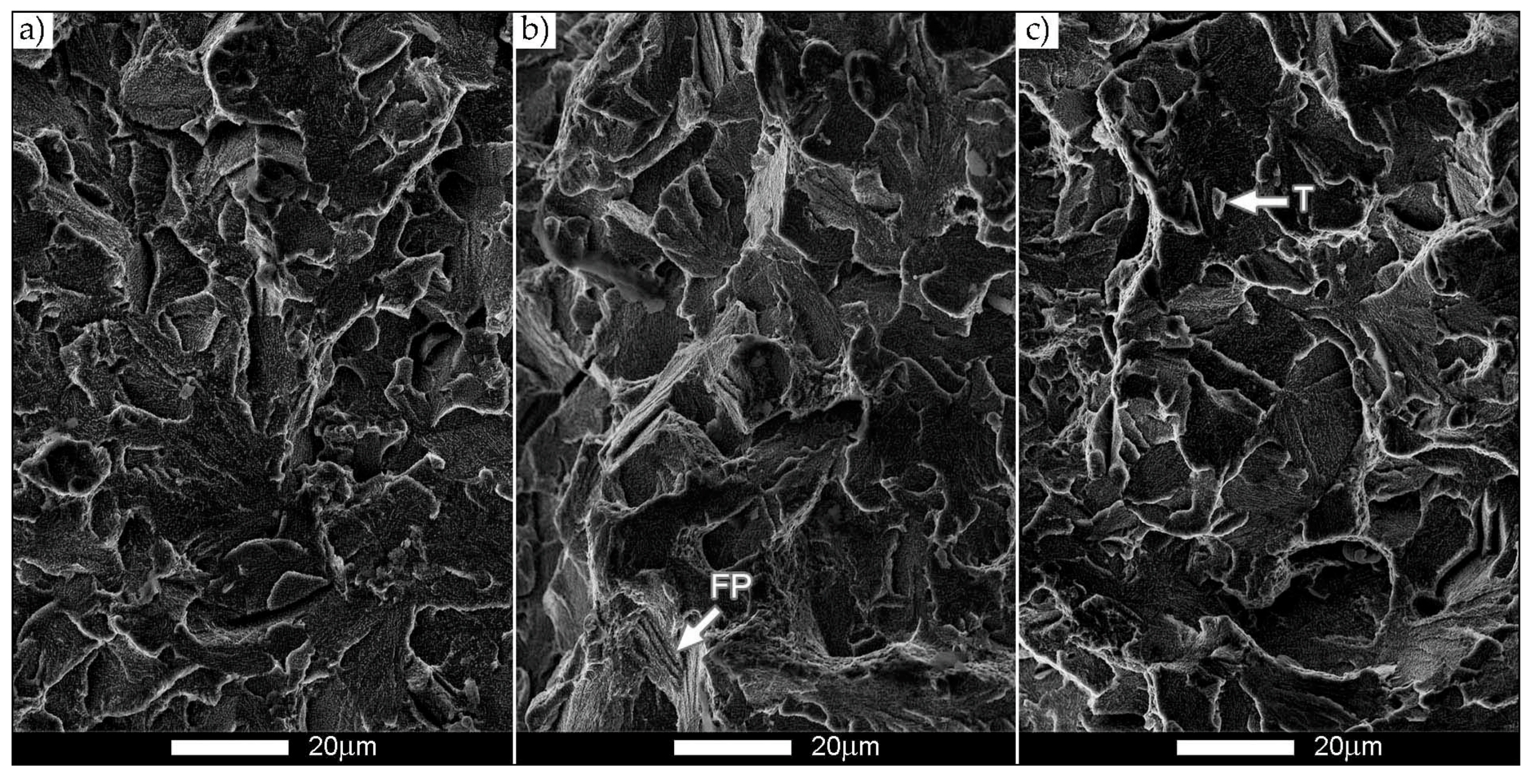 Metals 11 00162 g016