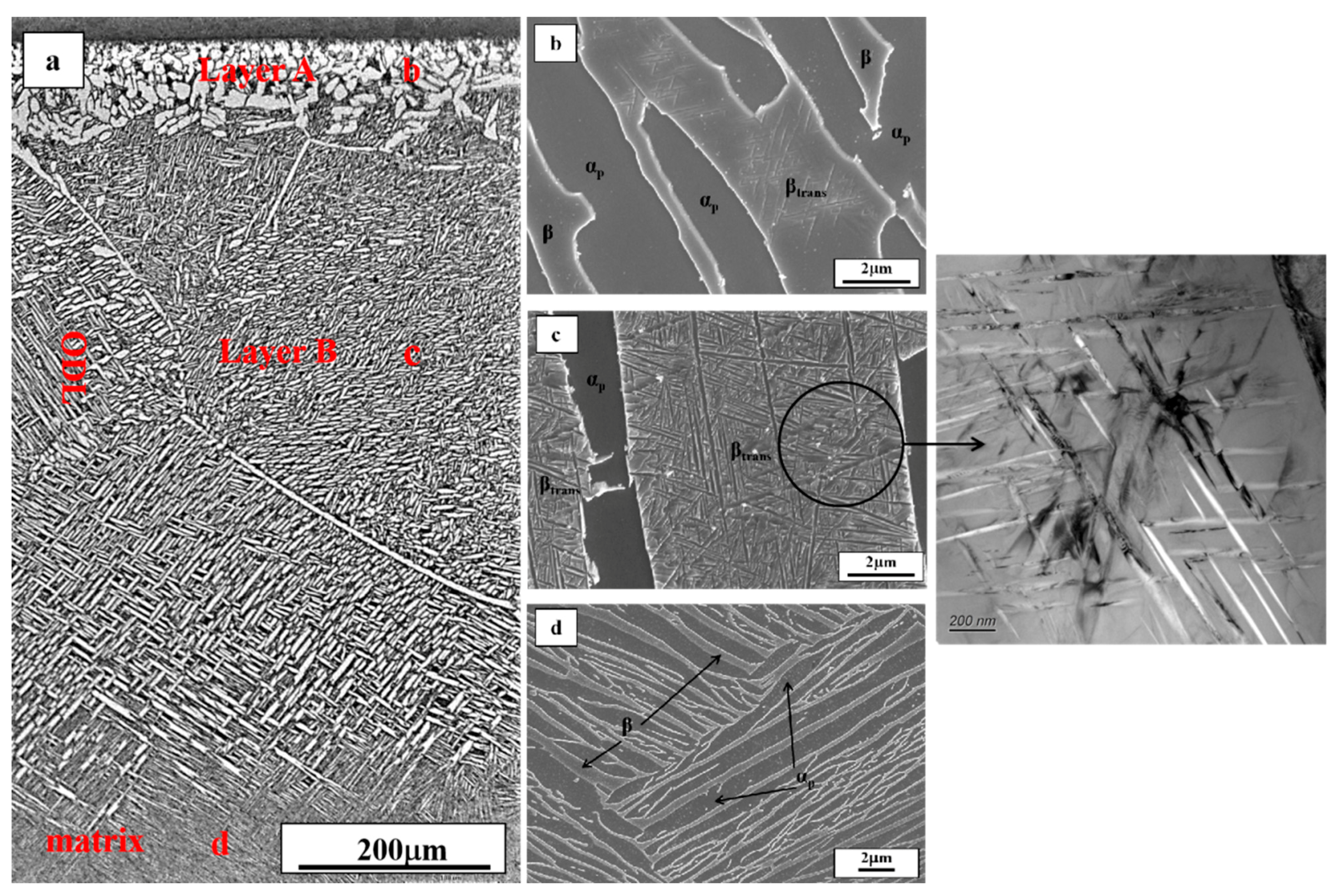 Metals 11 00163 g005 Metals 11 00163 g005
