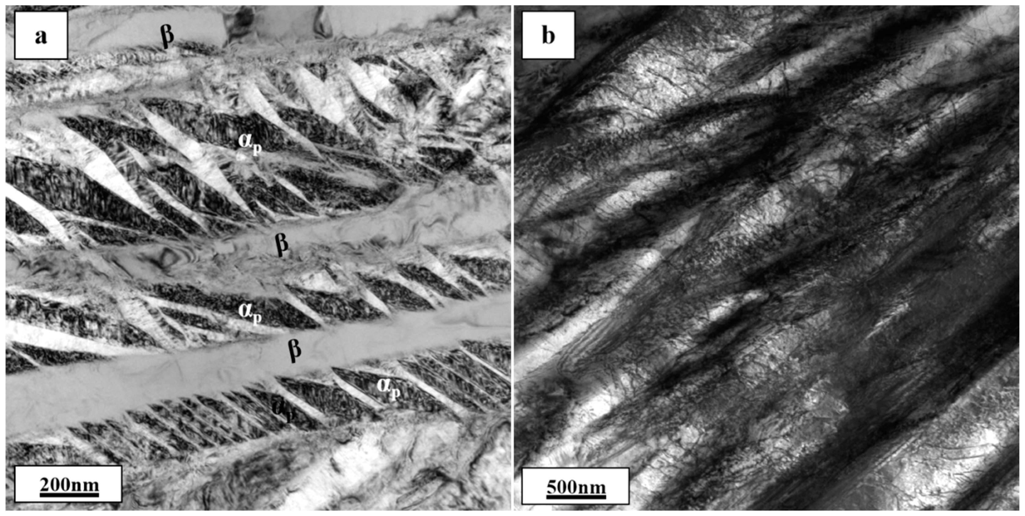Metals 11 00163 g008a Metals 11 00163 g008a
