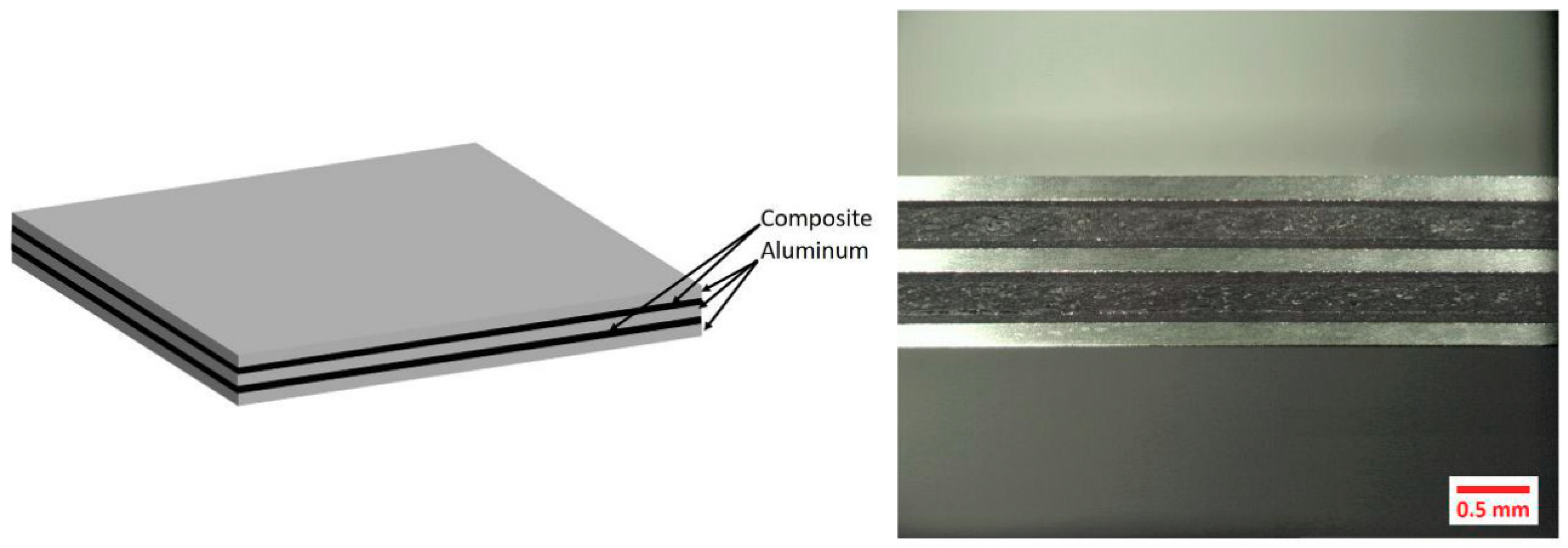 Metals 11 00164 g001