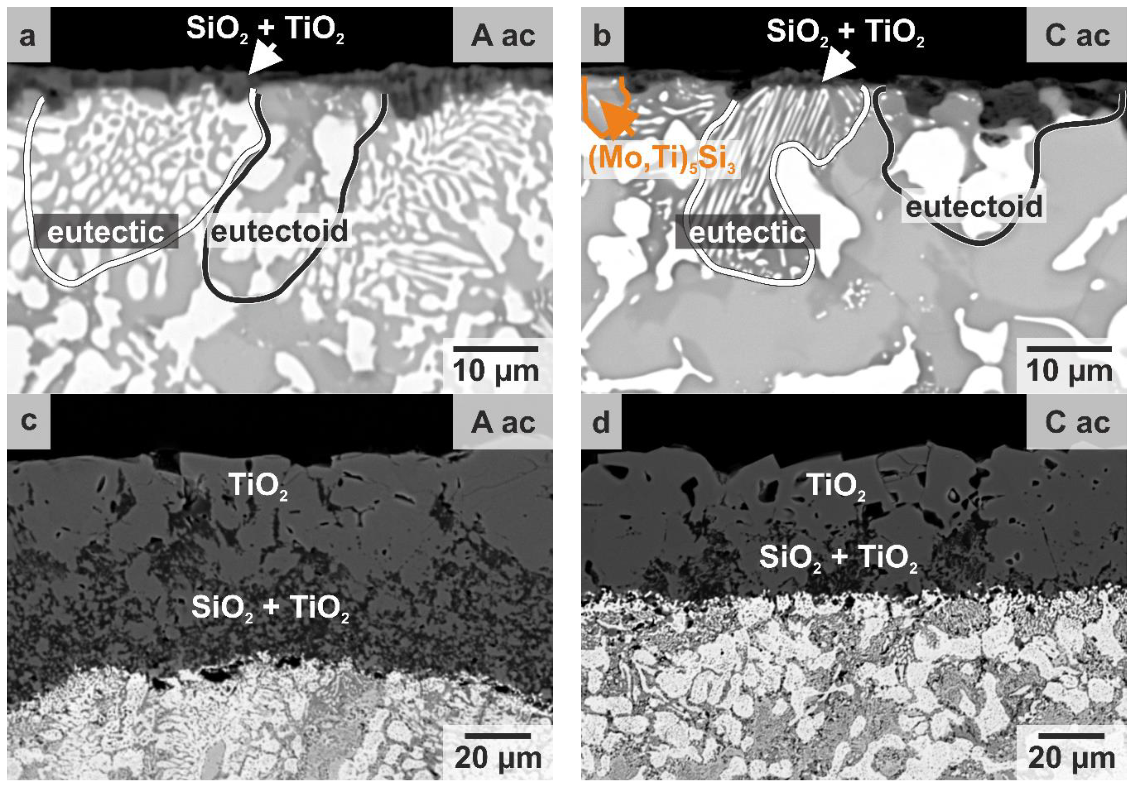 Metals 11 00169 g005