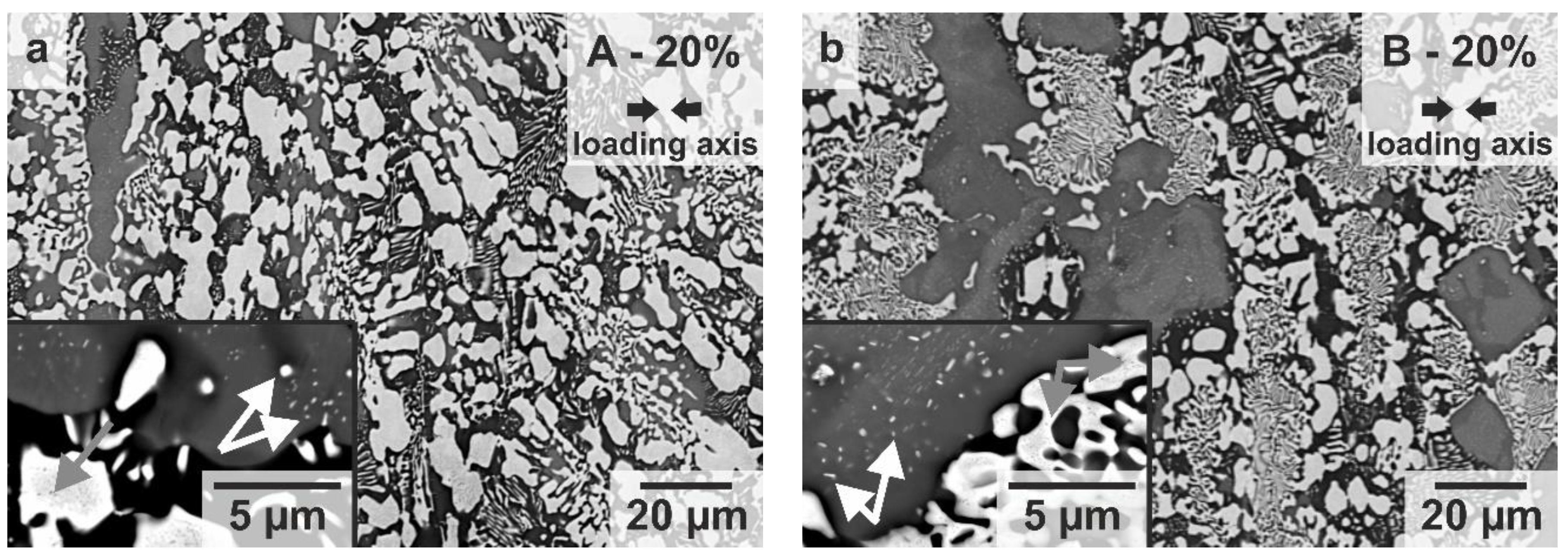 Metals 11 00169 g008a