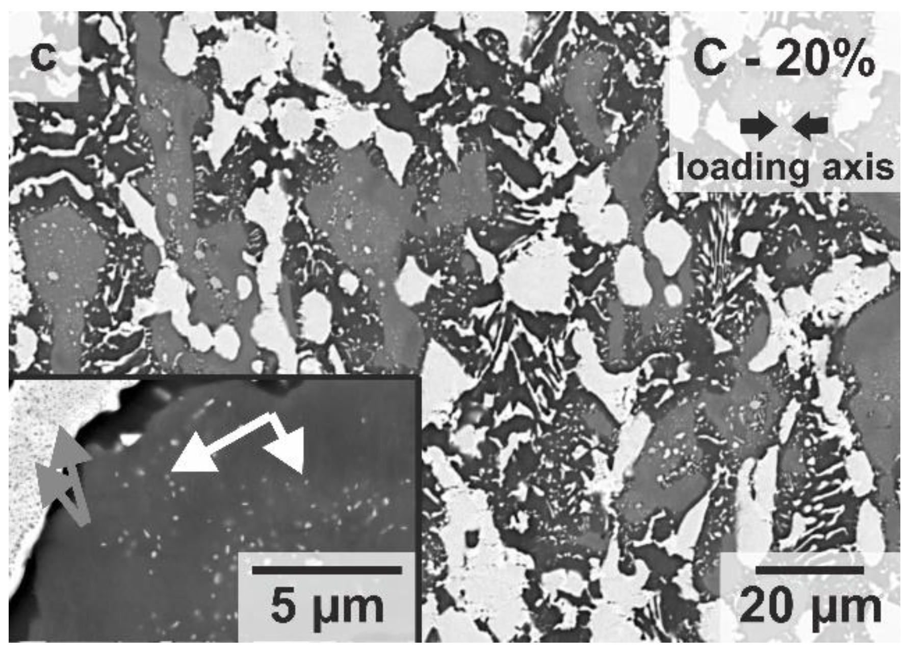 Metals 11 00169 g008b