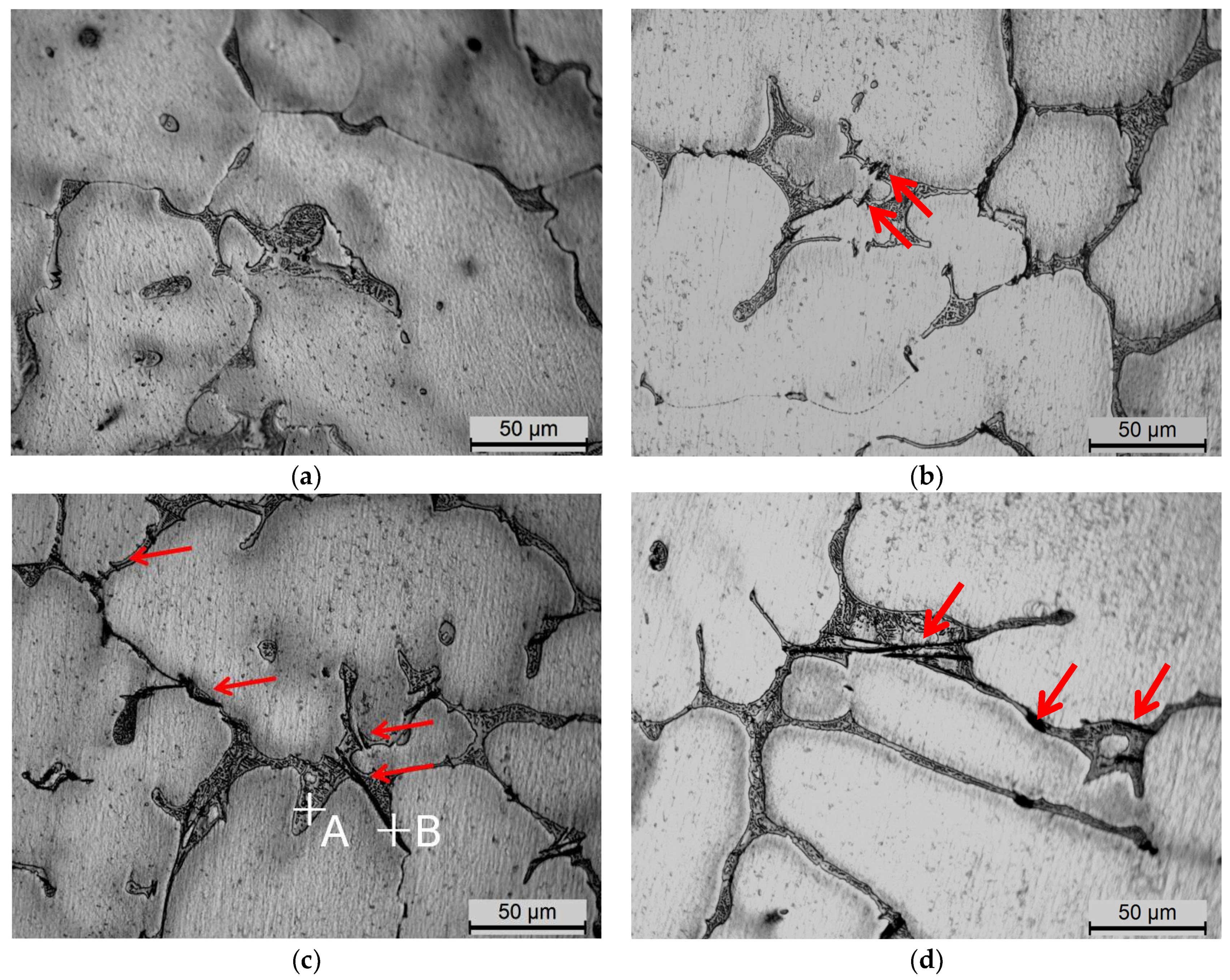 Metals 11 00174 g002