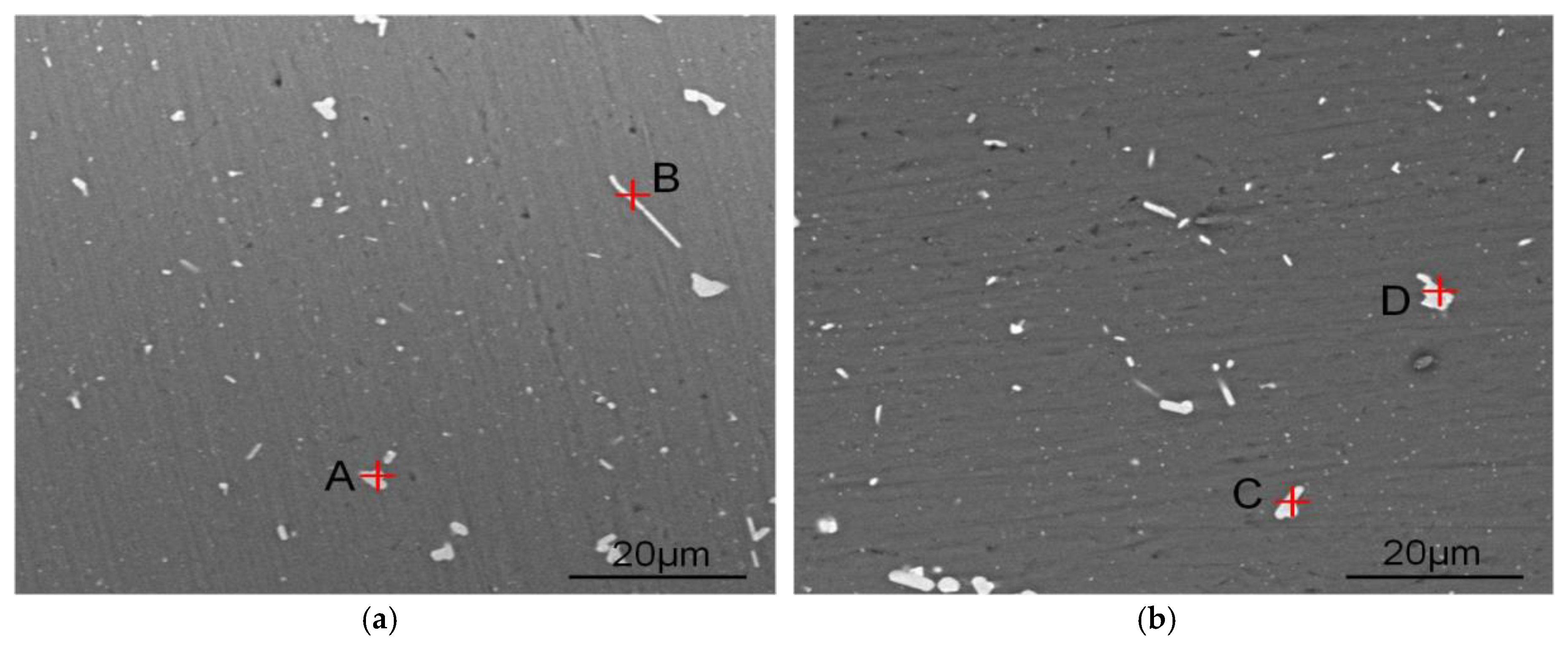 Metals 11 00174 g006