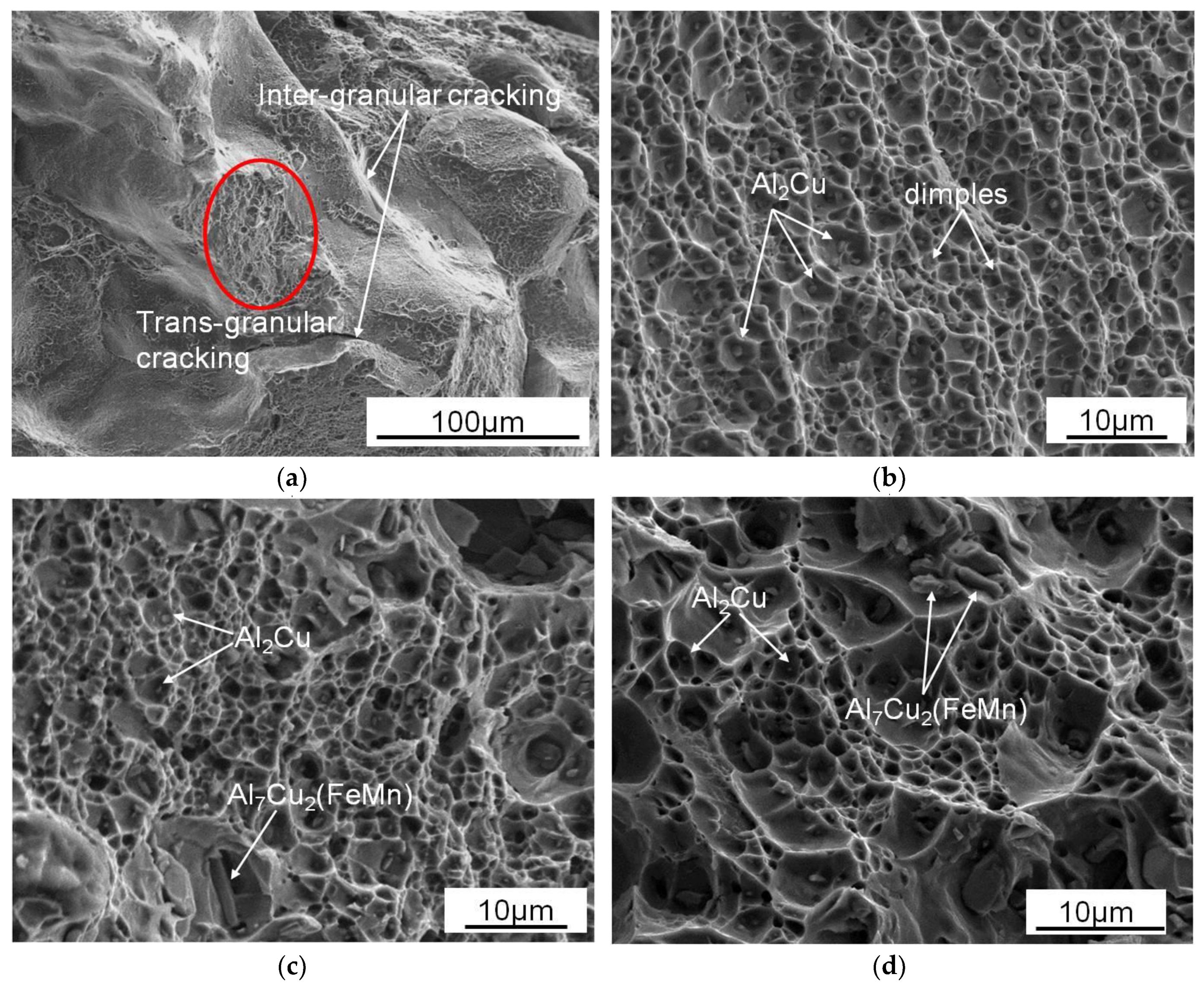 Metals 11 00174 g009