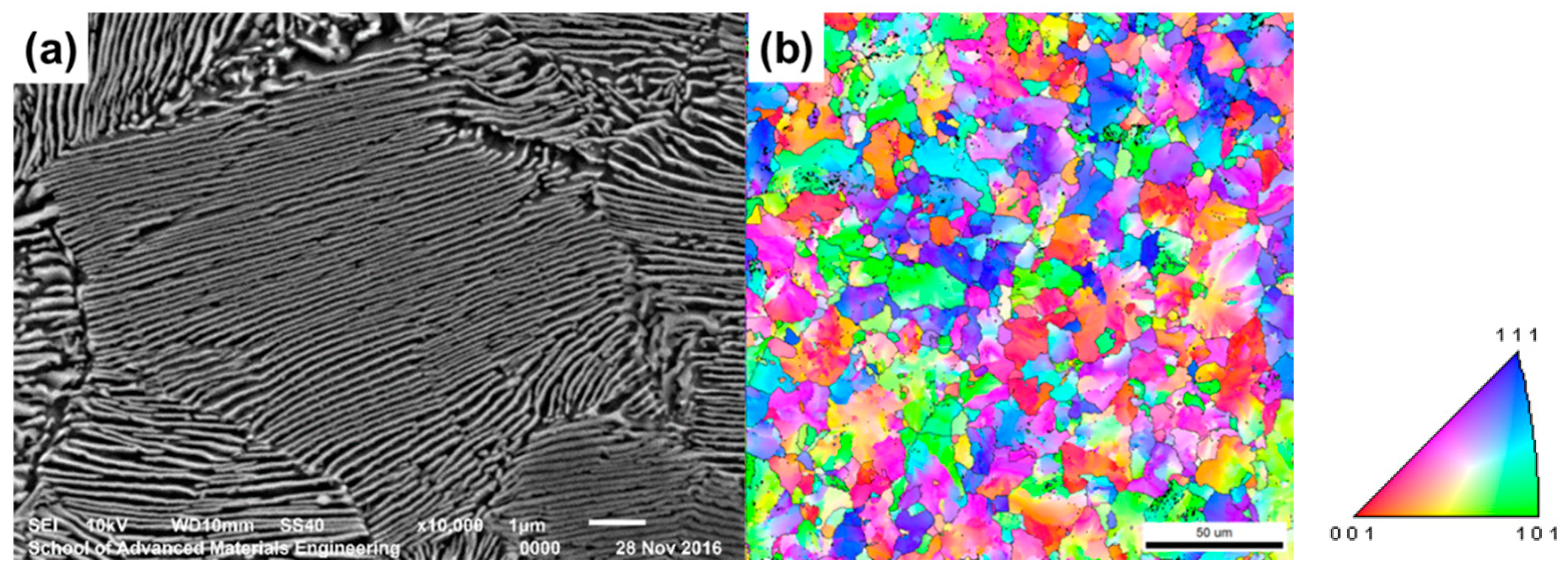 Metals 11 00178 g002