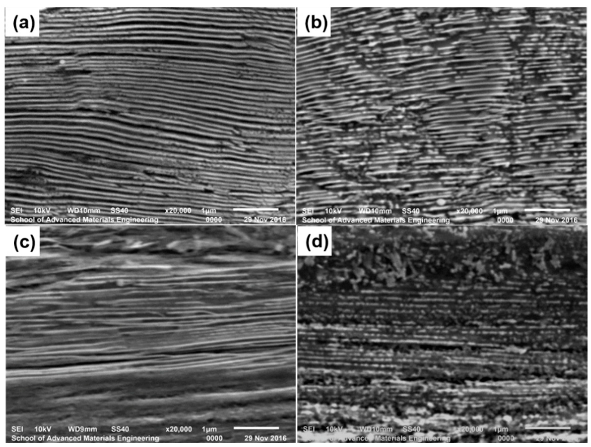 Metals 11 00178 g011