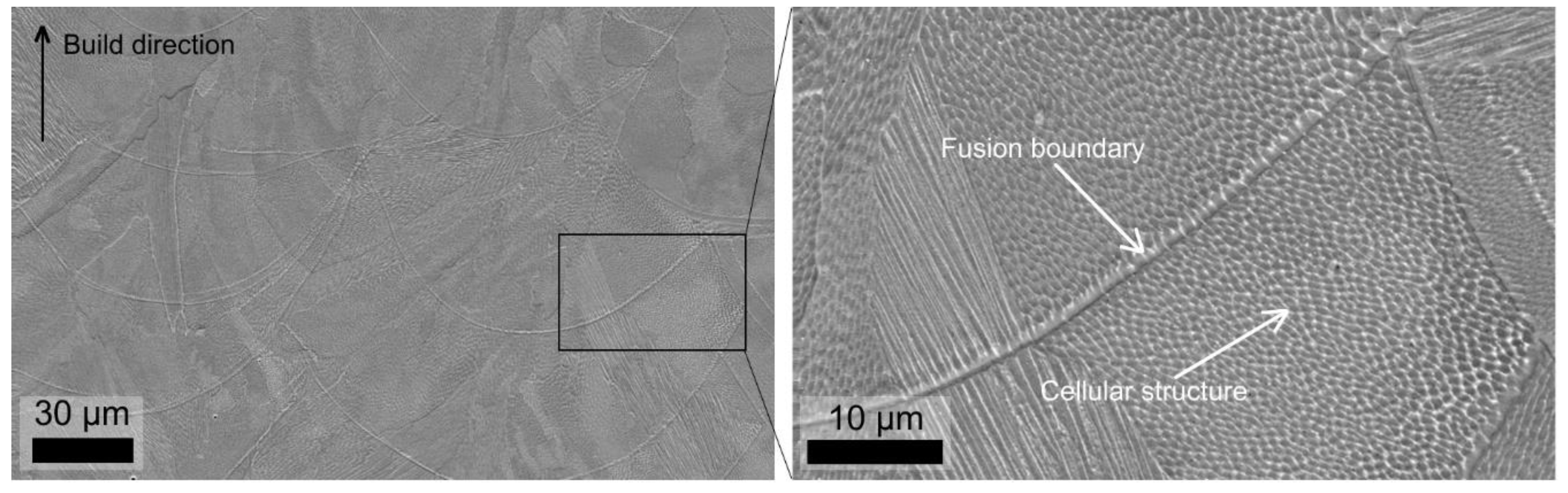 Metals 11 00182 g004