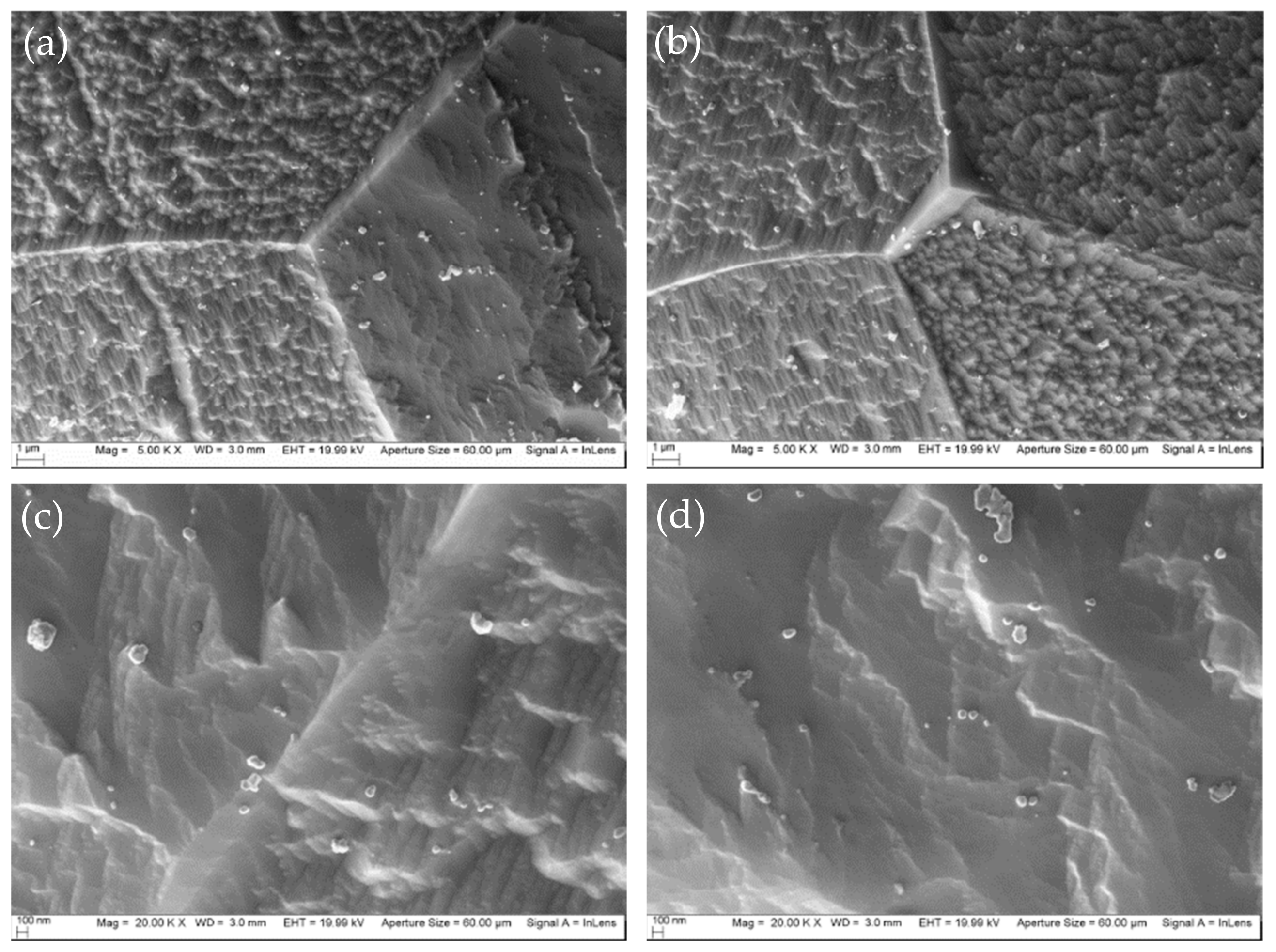 Metals 11 00189 g005