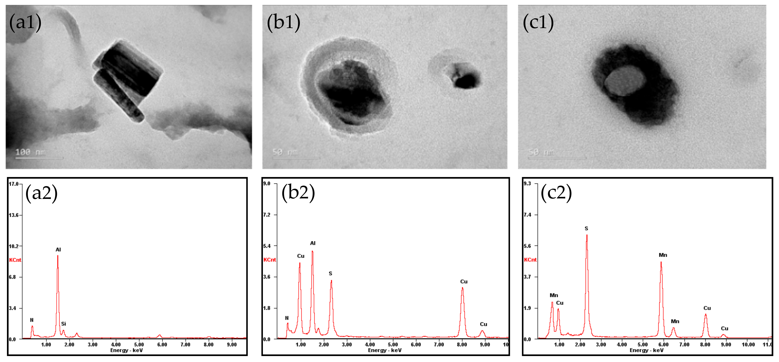 Metals 11 00189 g006