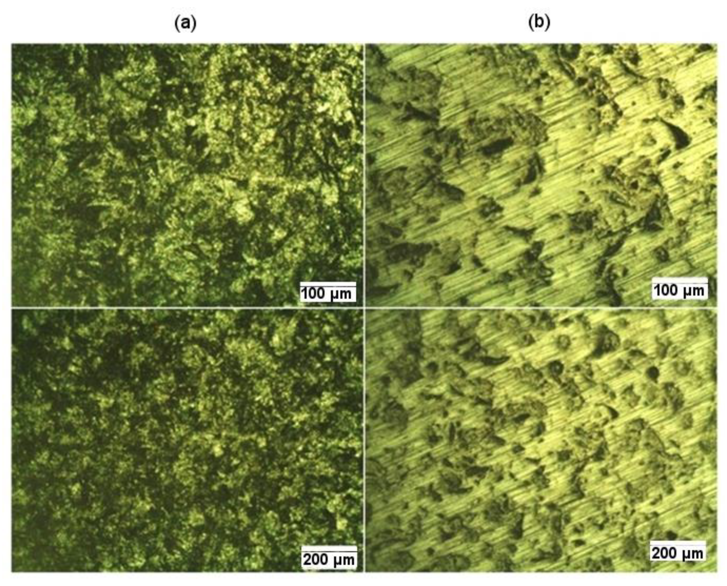 Metals 11 00194 g019 Metals 11 00194 g019