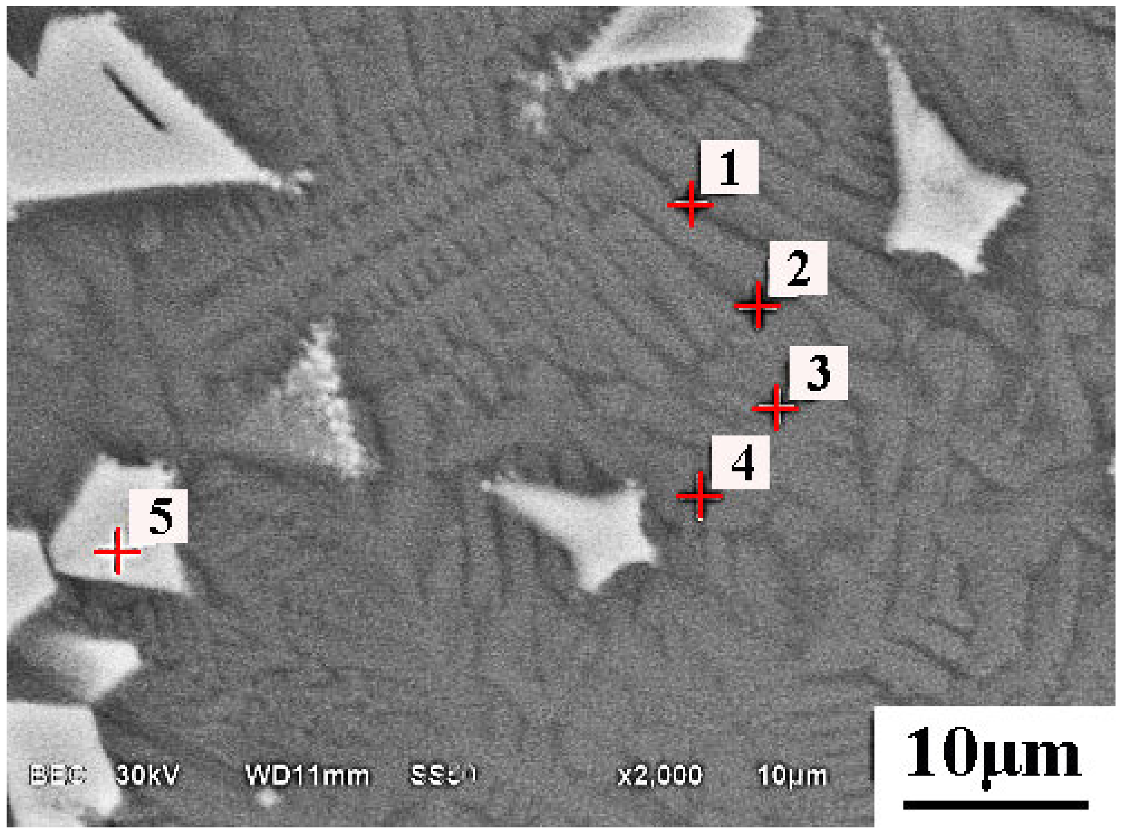 Metals 11 00216 g005 Metals 11 00216 g005