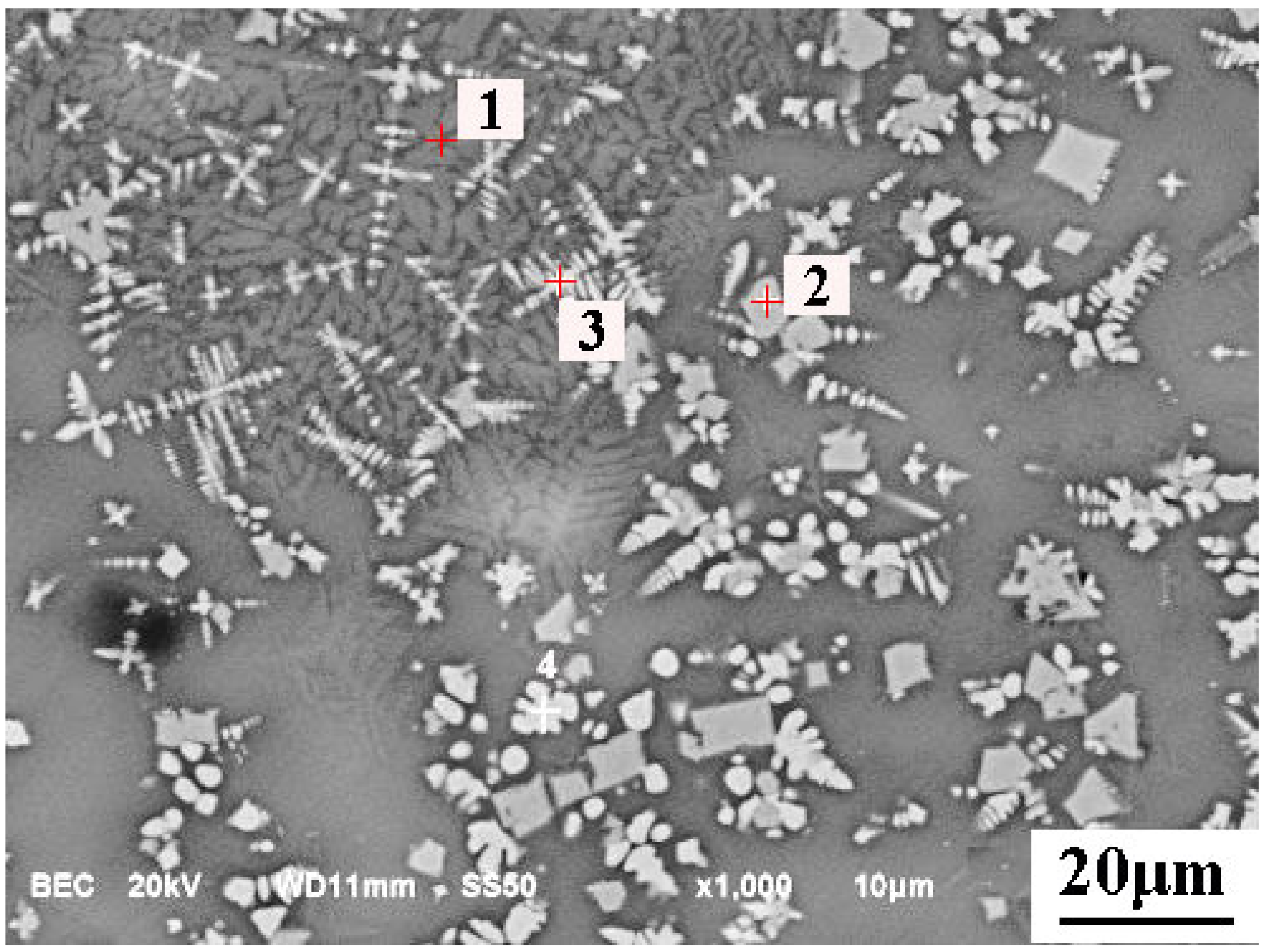 Metals 11 00216 g011 Metals 11 00216 g011