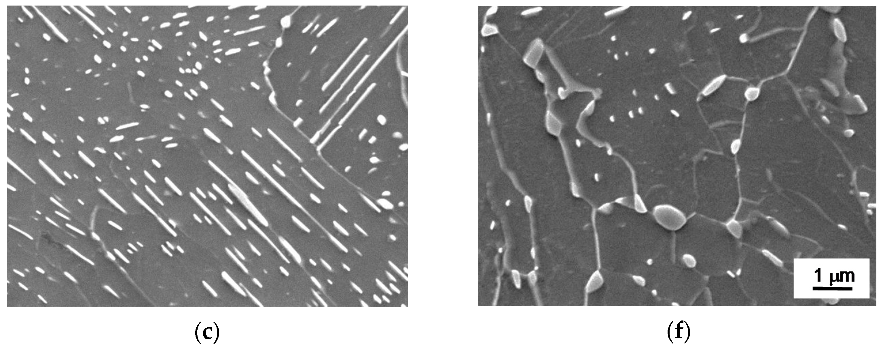 Metals 11 00219 g003b