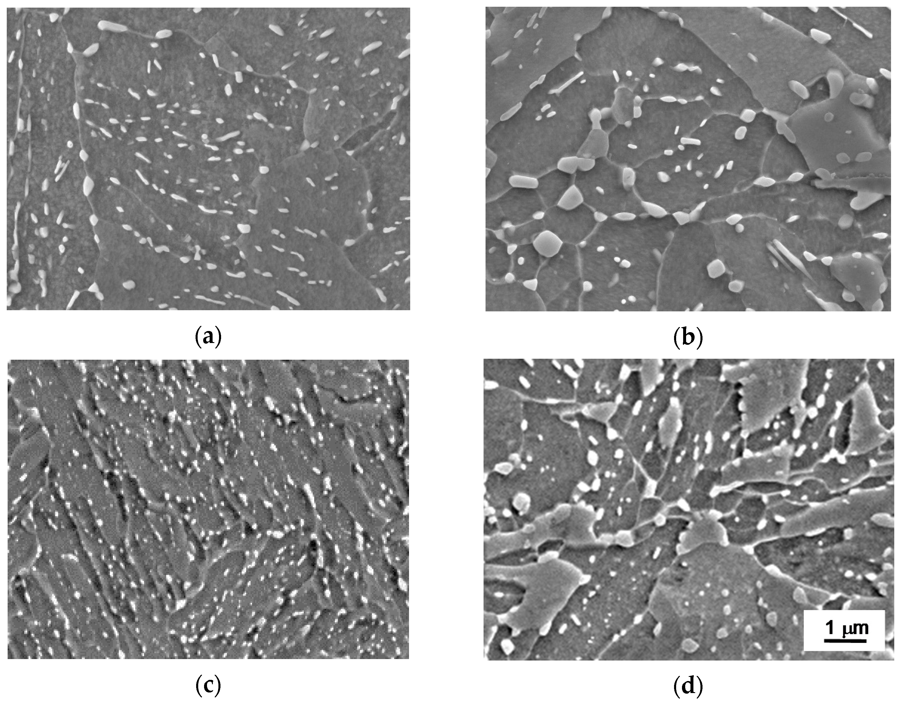 Metals 11 00219 g004