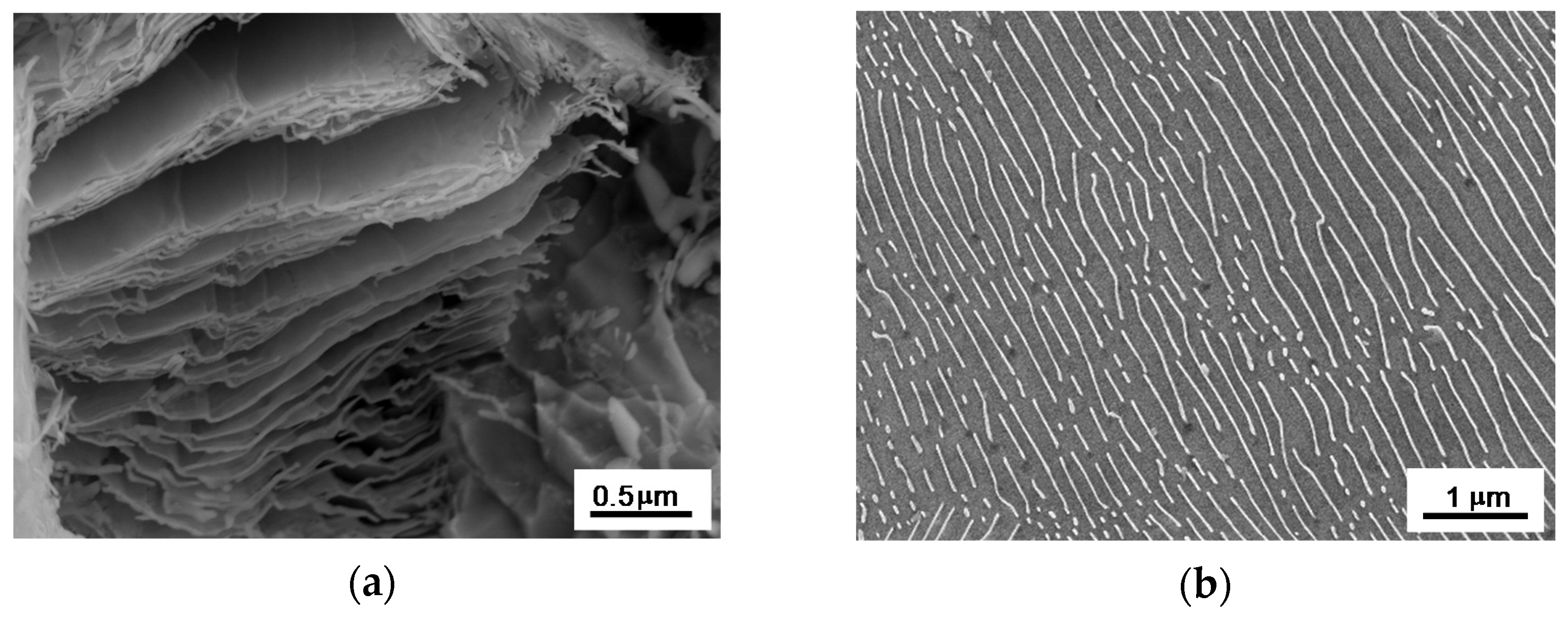 Metals 11 00219 g008