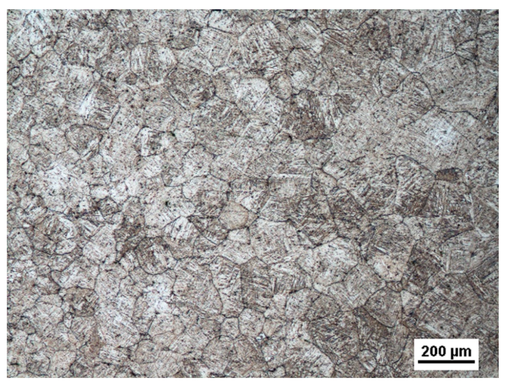 Metals 11 00225 g005 Metals 11 00225 g005